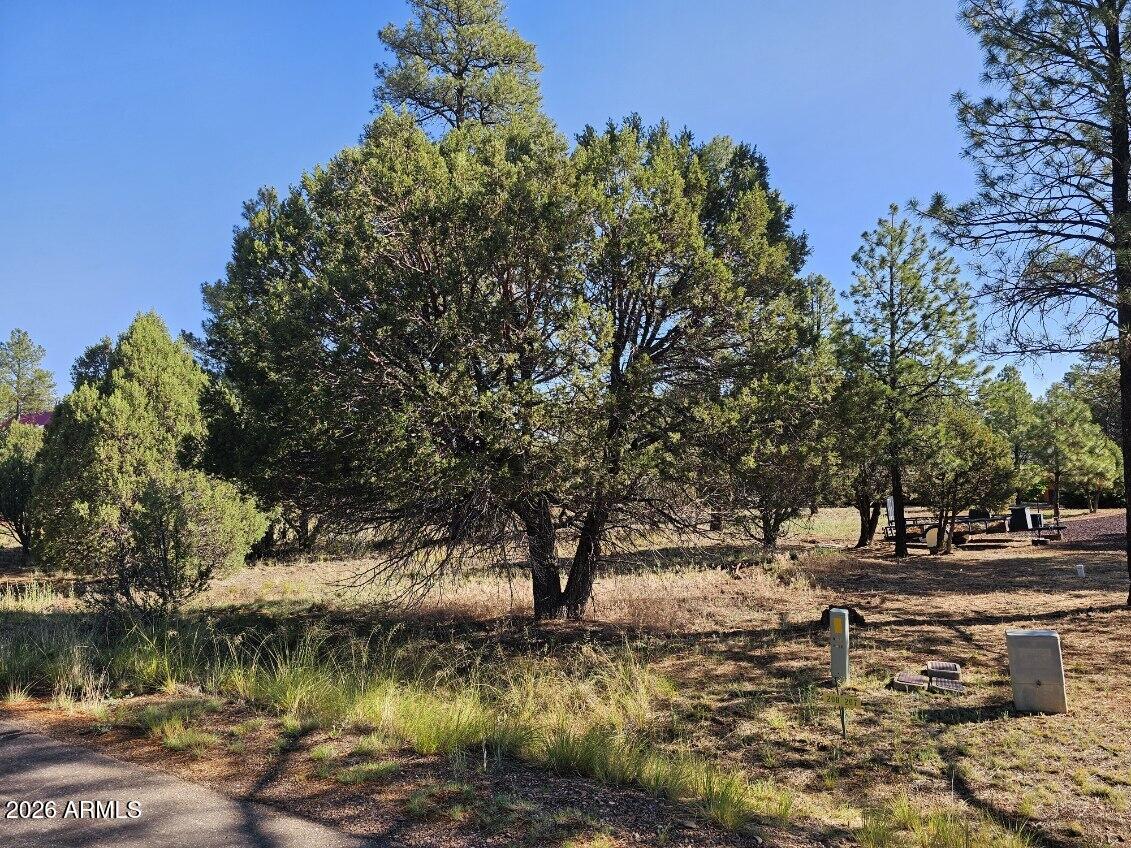 2236 MOCCASIN Drive 208