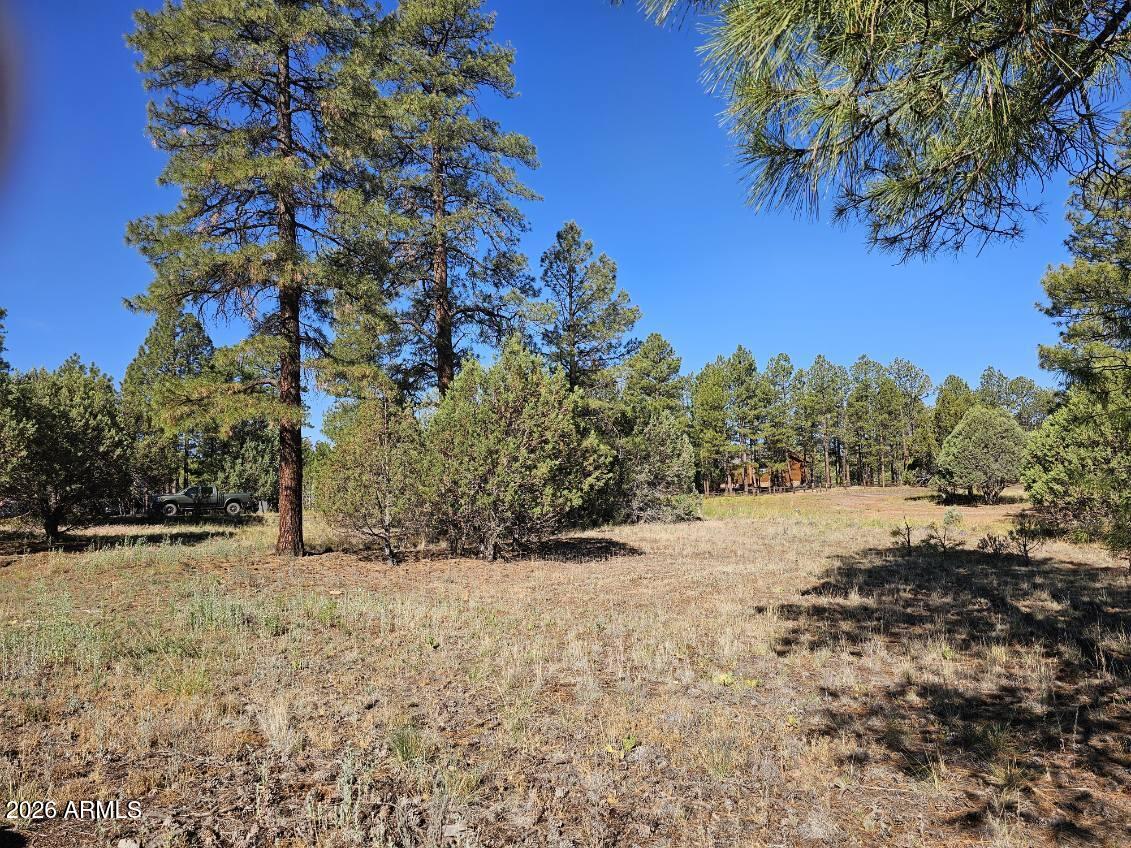 2236 MOCCASIN Drive 208