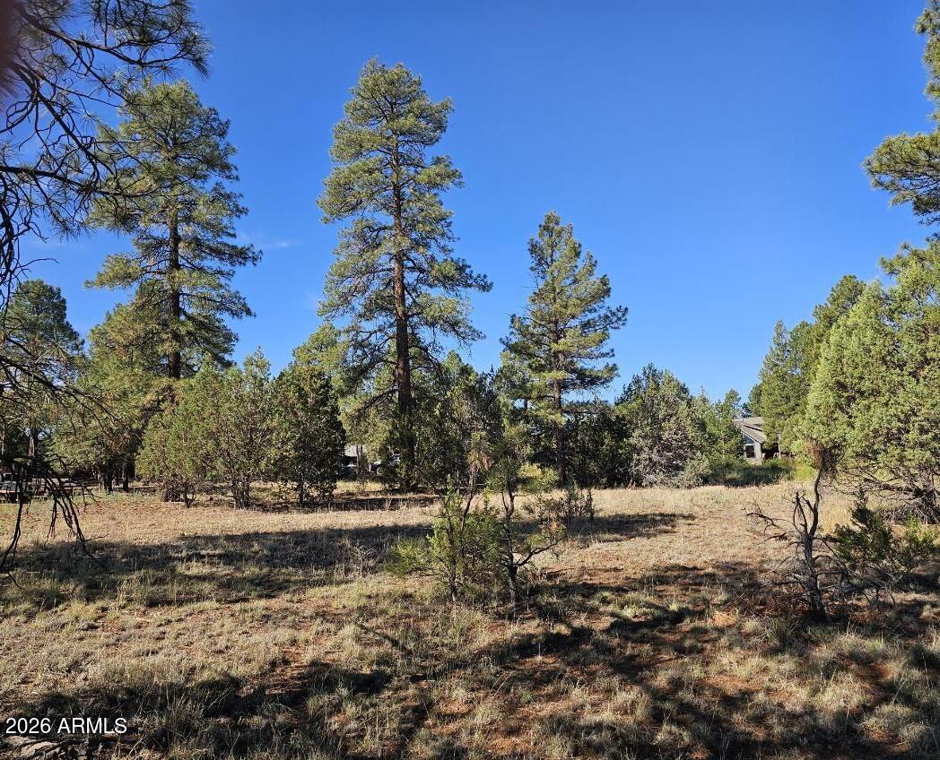 2236 MOCCASIN Drive 208