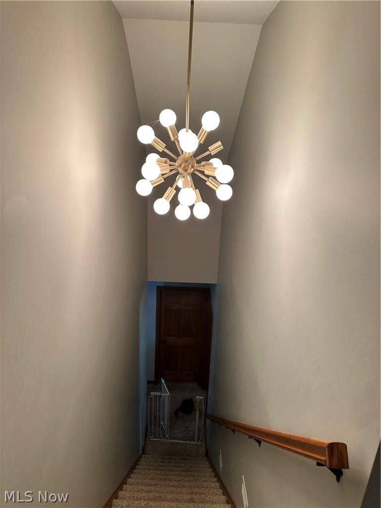 6240 Branch Flat Road