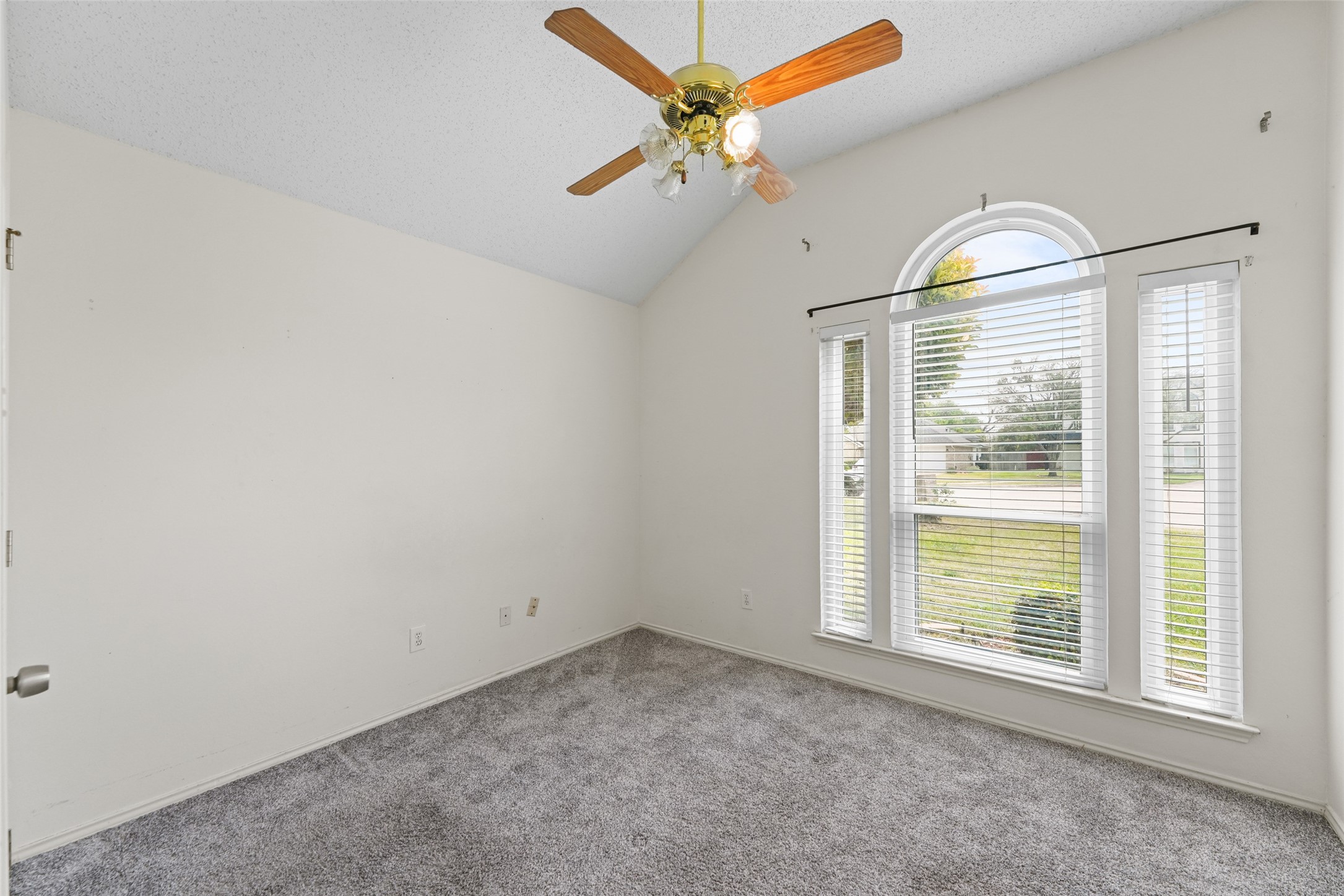 8009 Alamo Court