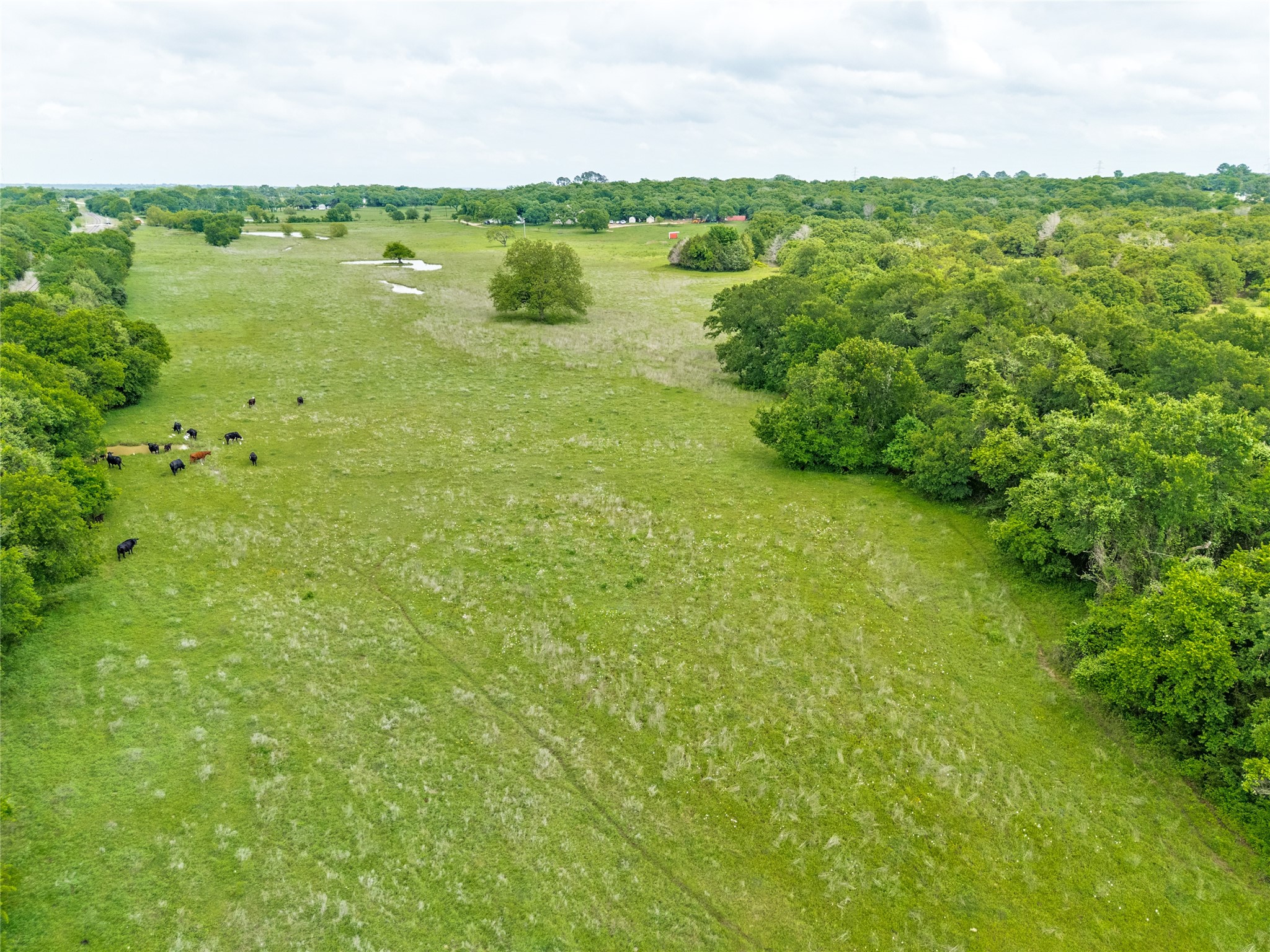 2900 County Road 317