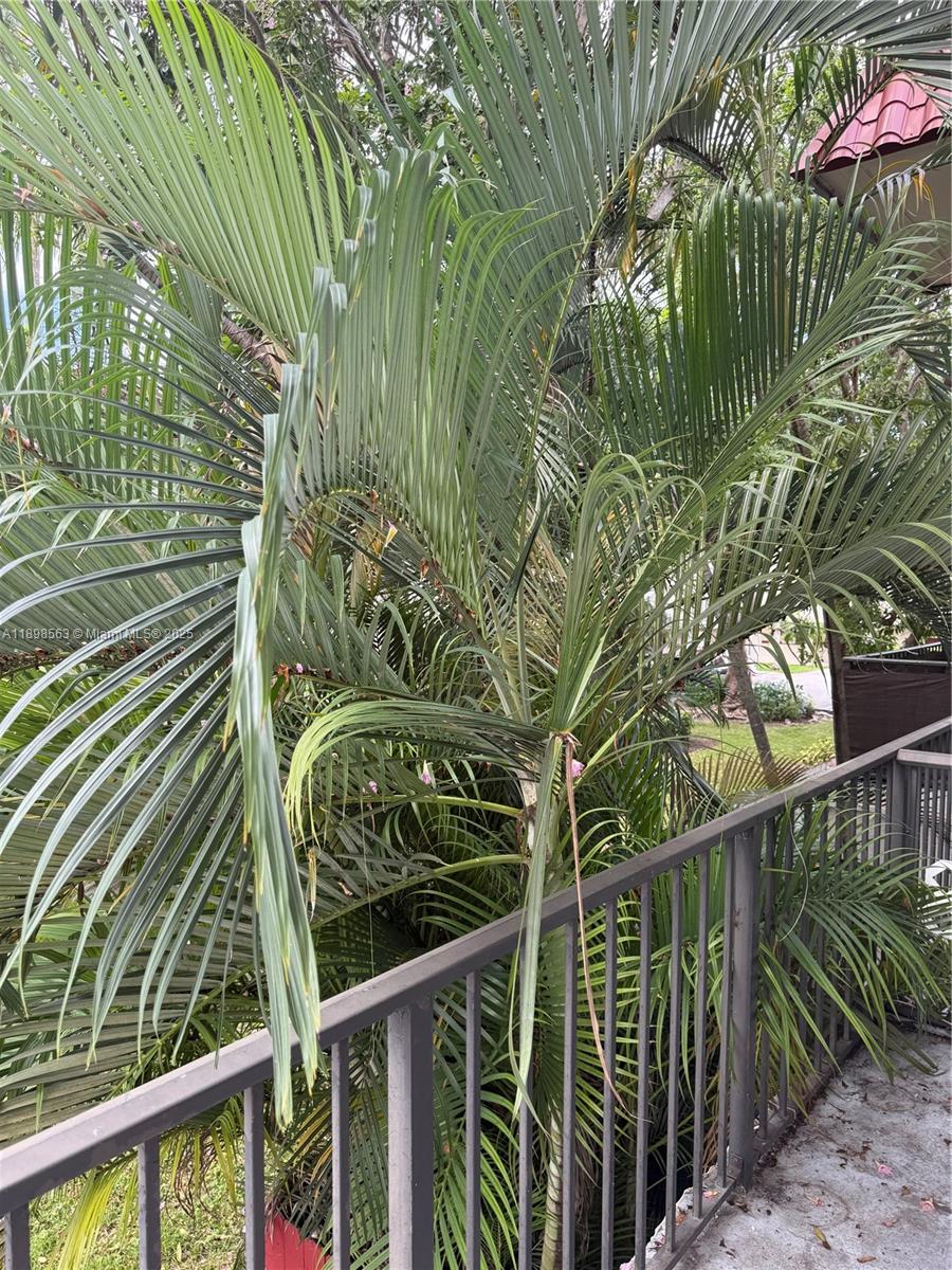 6705 N Kendall Dr # 314, Pinecrest Unit: 314