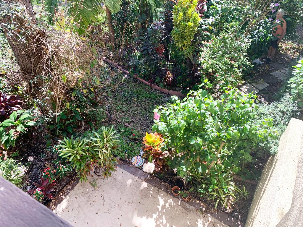 708 Saint Albans Drive