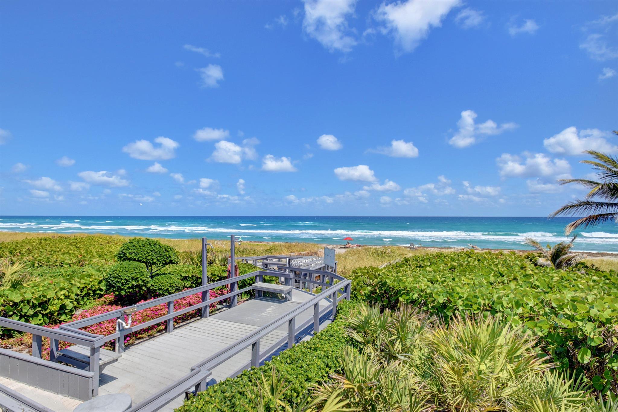 2667 N Ocean Boulevard I612