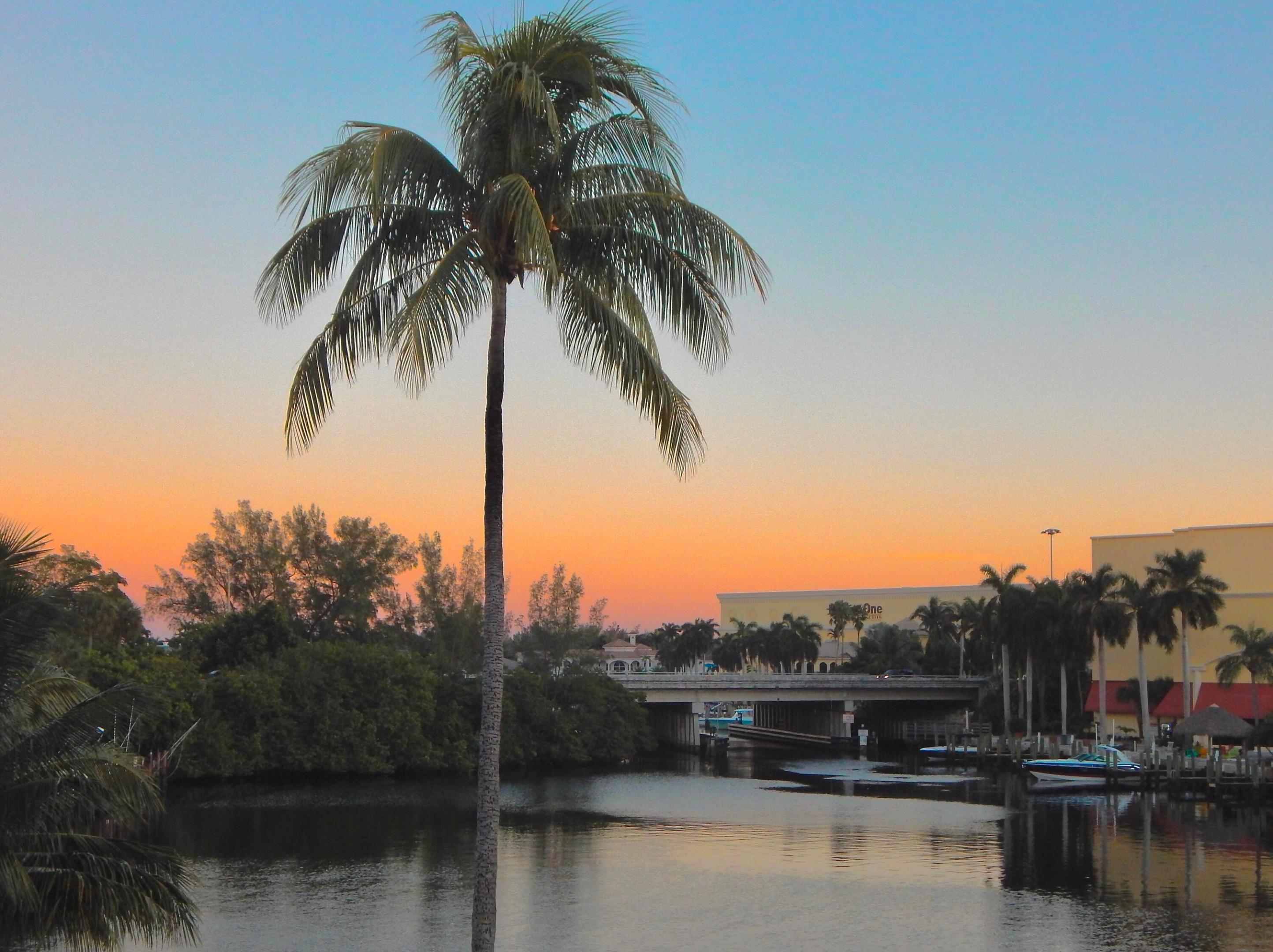 7 Royal Palm Way 507