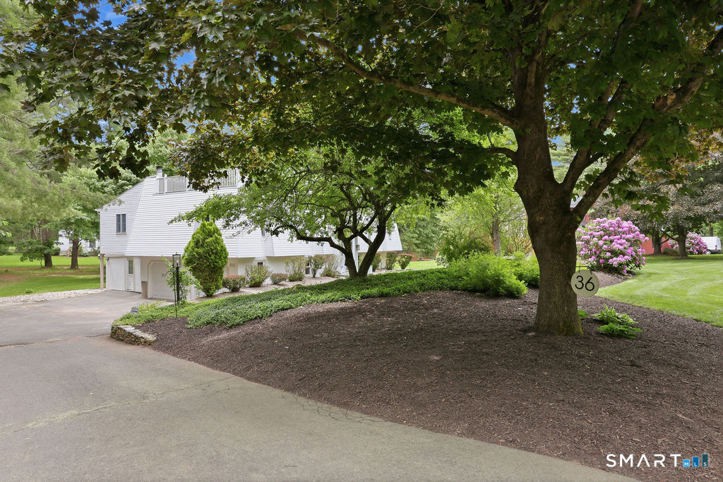 36 Banks Road