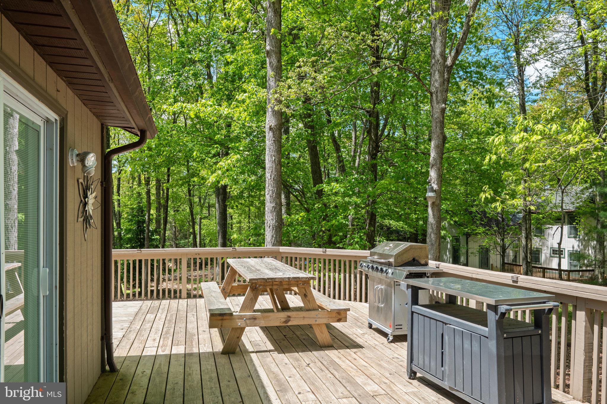 49 FOREST DRIVE