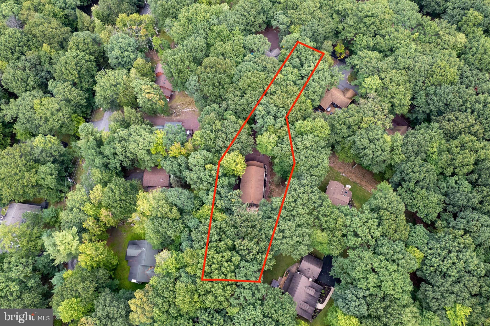 49 FOREST DRIVE