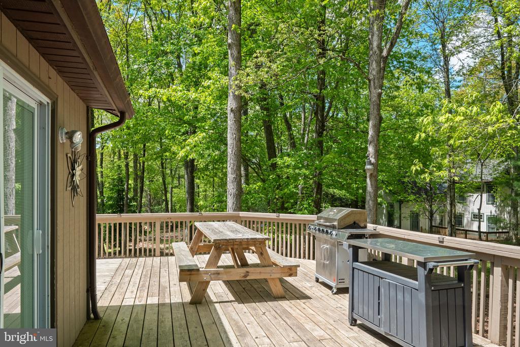 49 FOREST DRIVE
