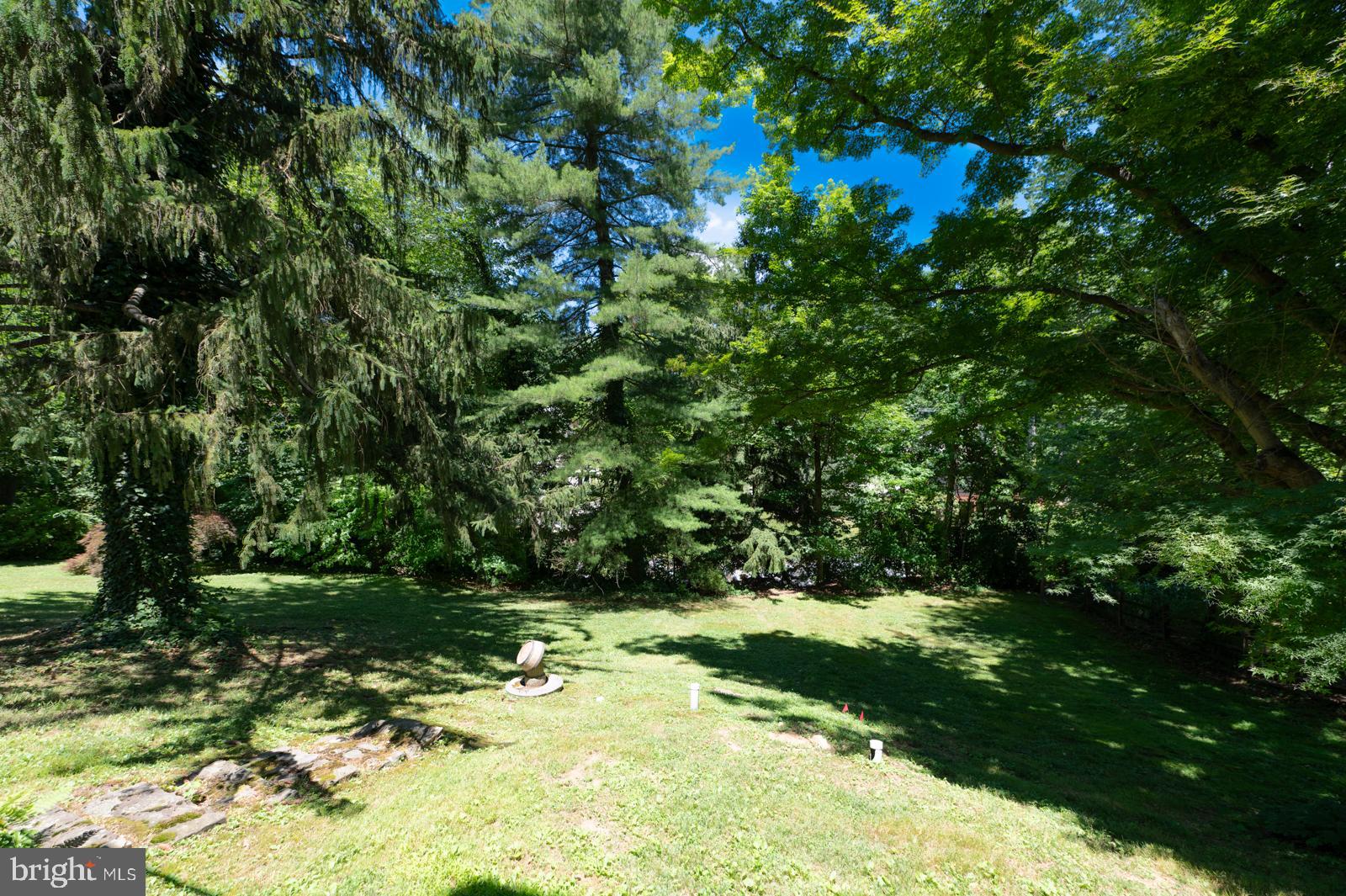 218 BIDDULPH ROAD