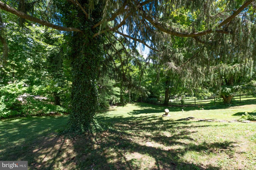 218 BIDDULPH ROAD