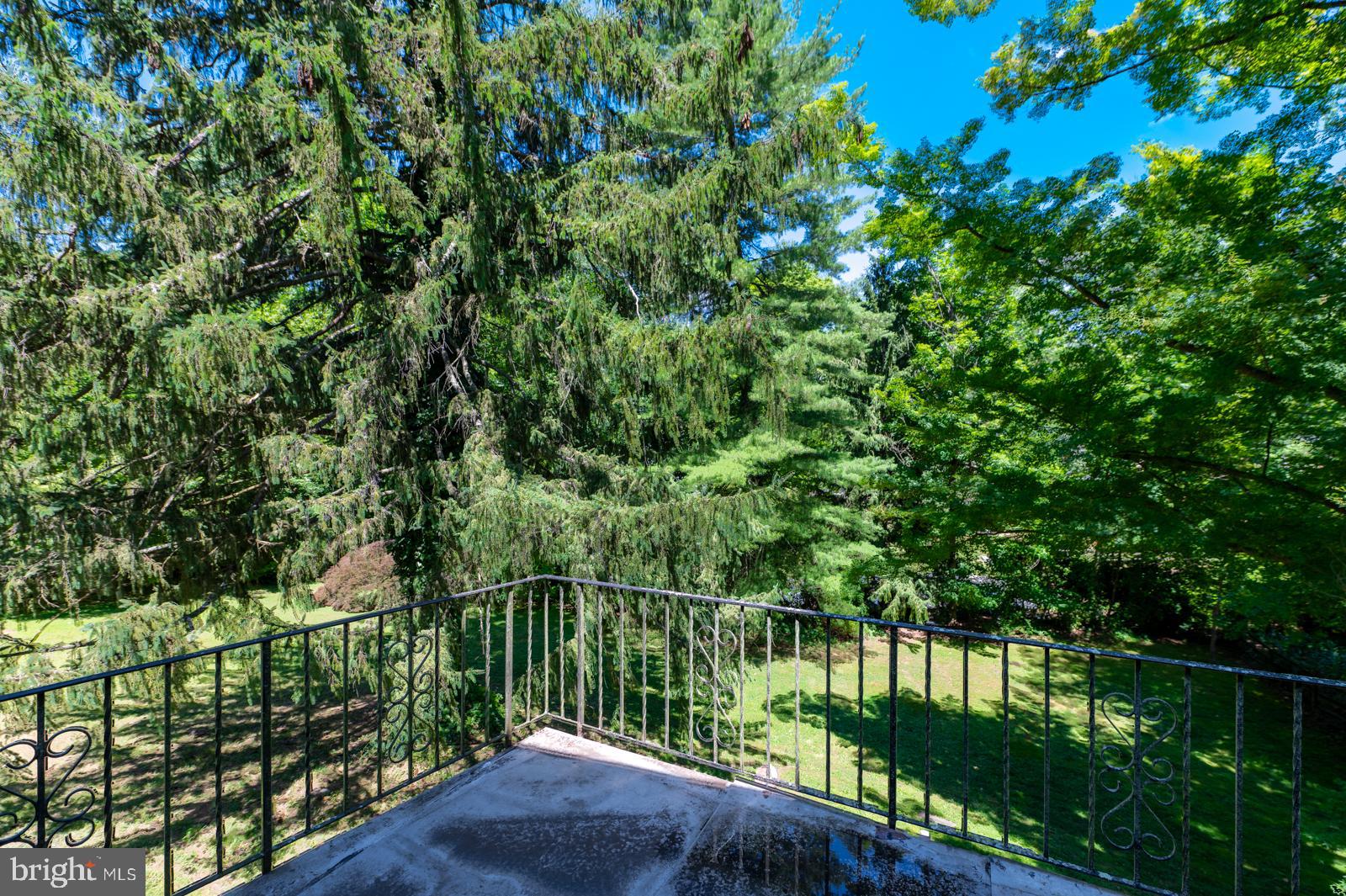 218 BIDDULPH ROAD