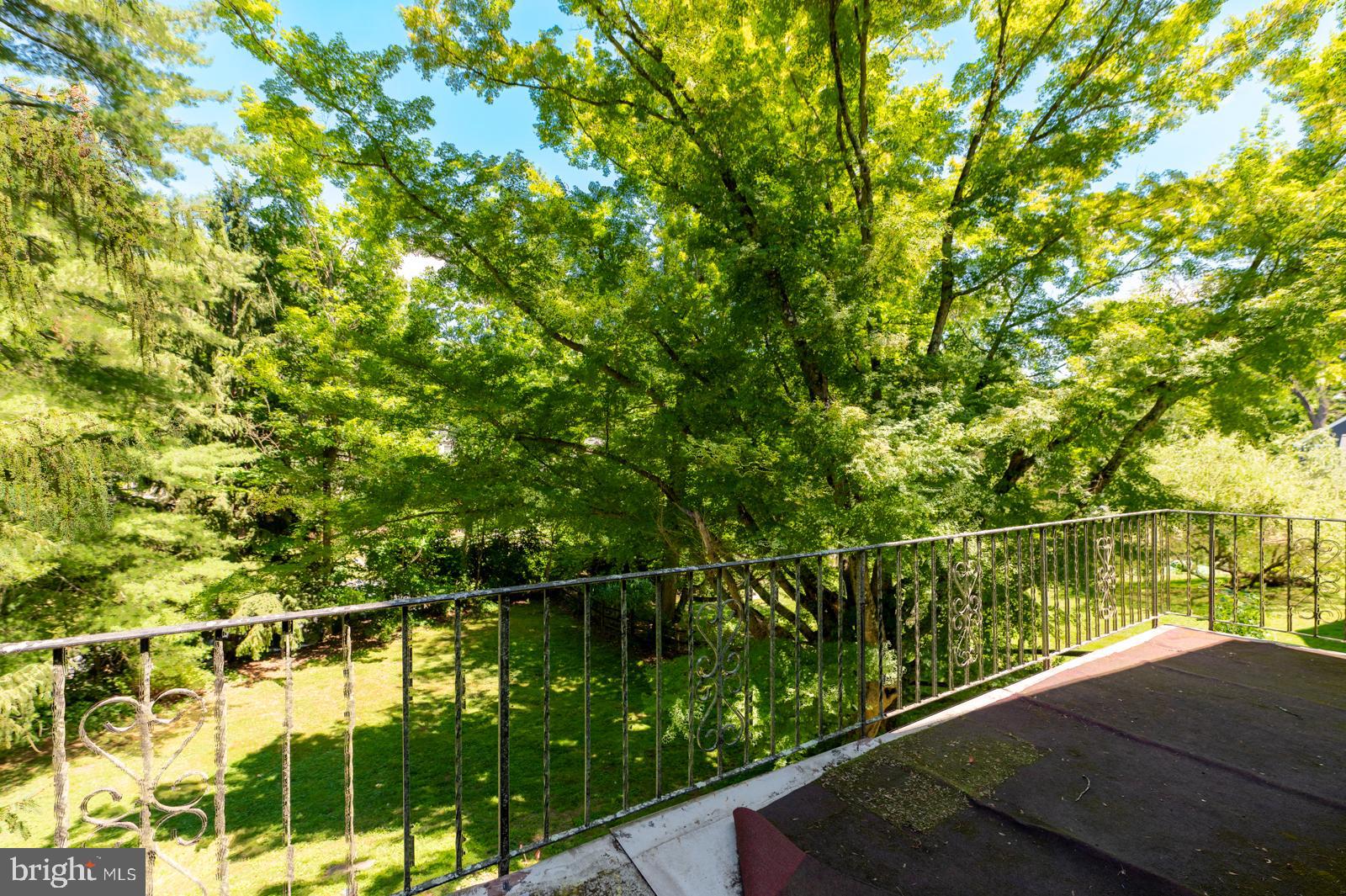 218 BIDDULPH ROAD
