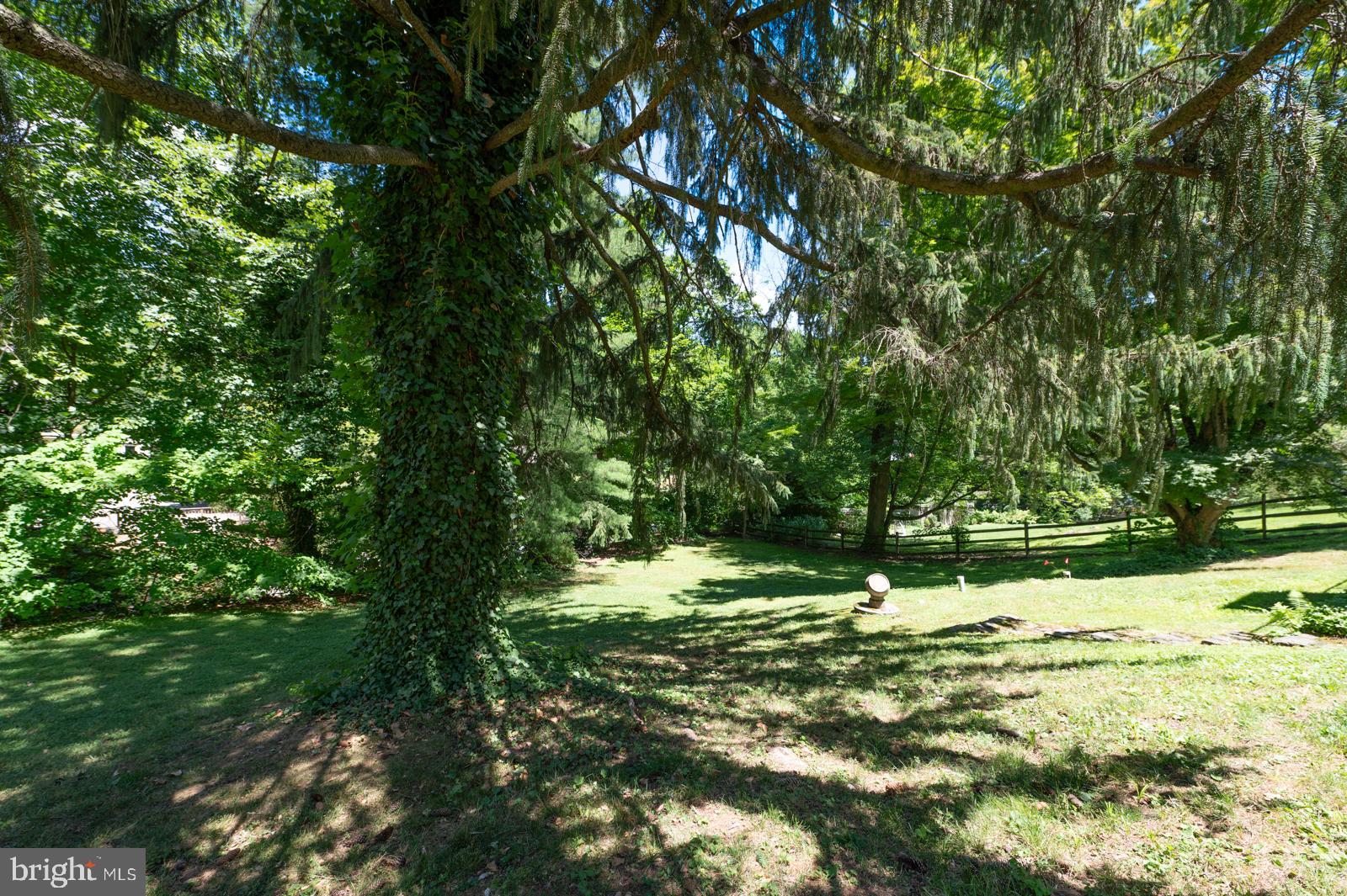 218 BIDDULPH ROAD