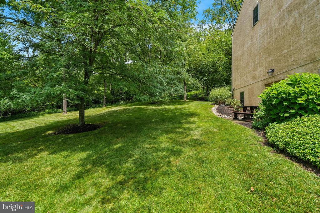Backyard with a broad lawn, mature trees, and a small patio beside the house.