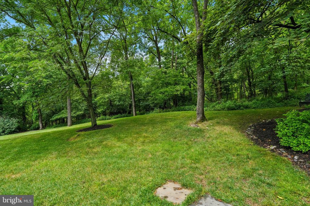 Sloping lawn bordered by mature trees and woodland.