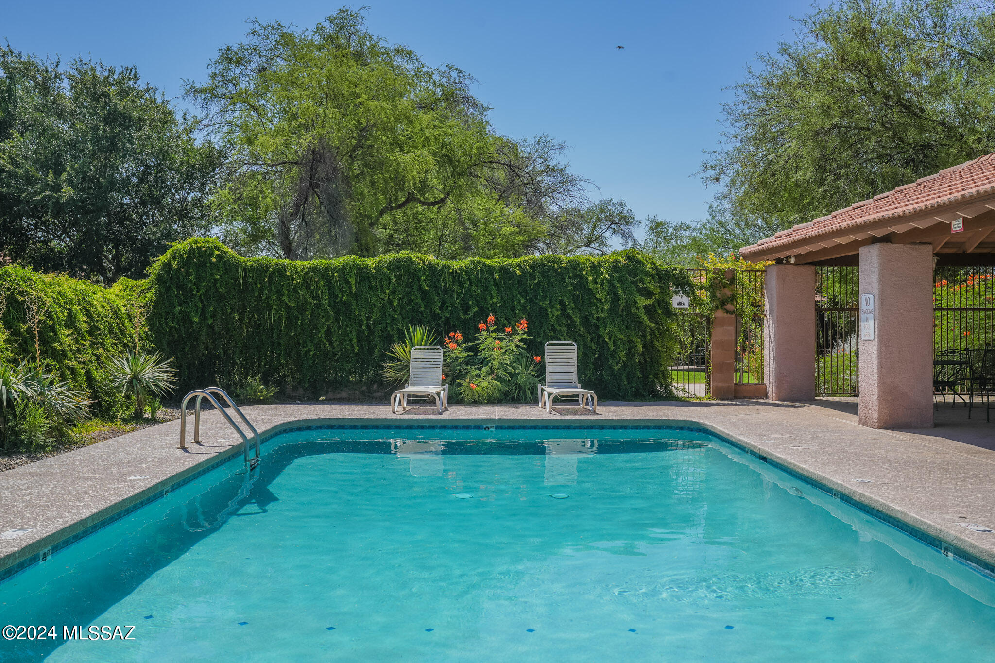 8246 N Paseo Del Rancho Escondido