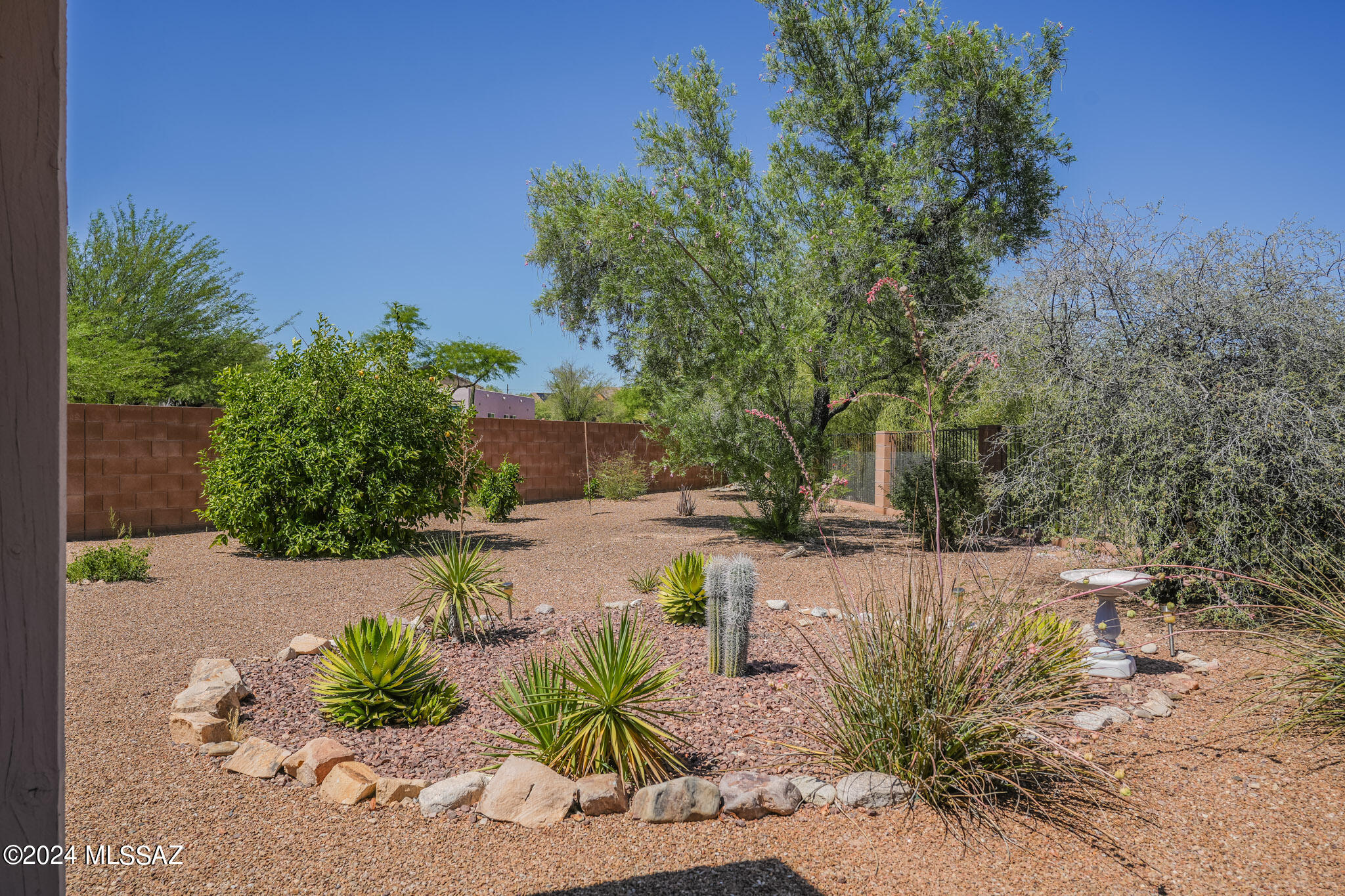 8246 N Paseo Del Rancho Escondido