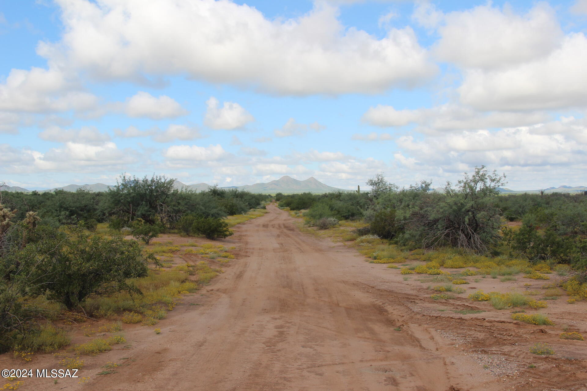 17035 W Saddle Trail 0