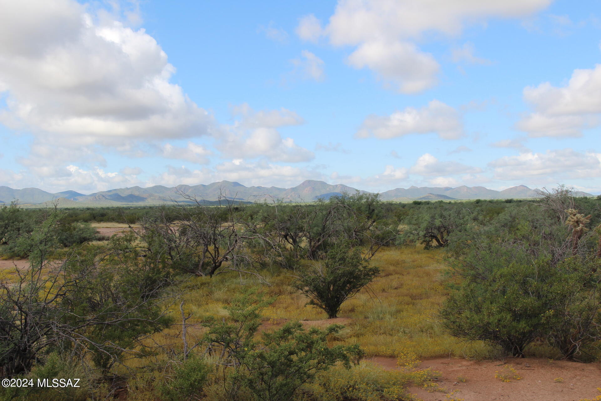 17035 W Saddle Trail 0