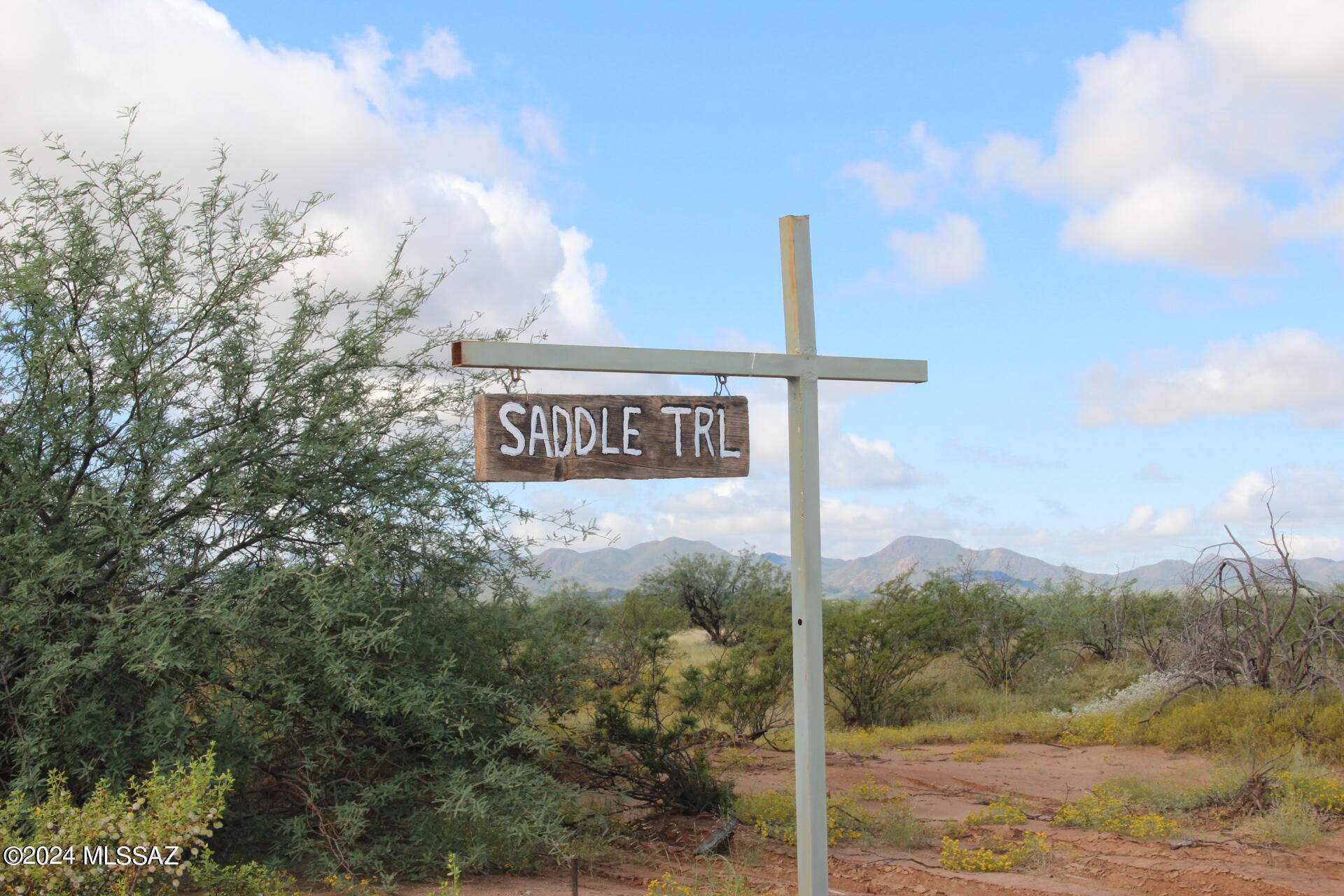 17035 W Saddle Trail 0