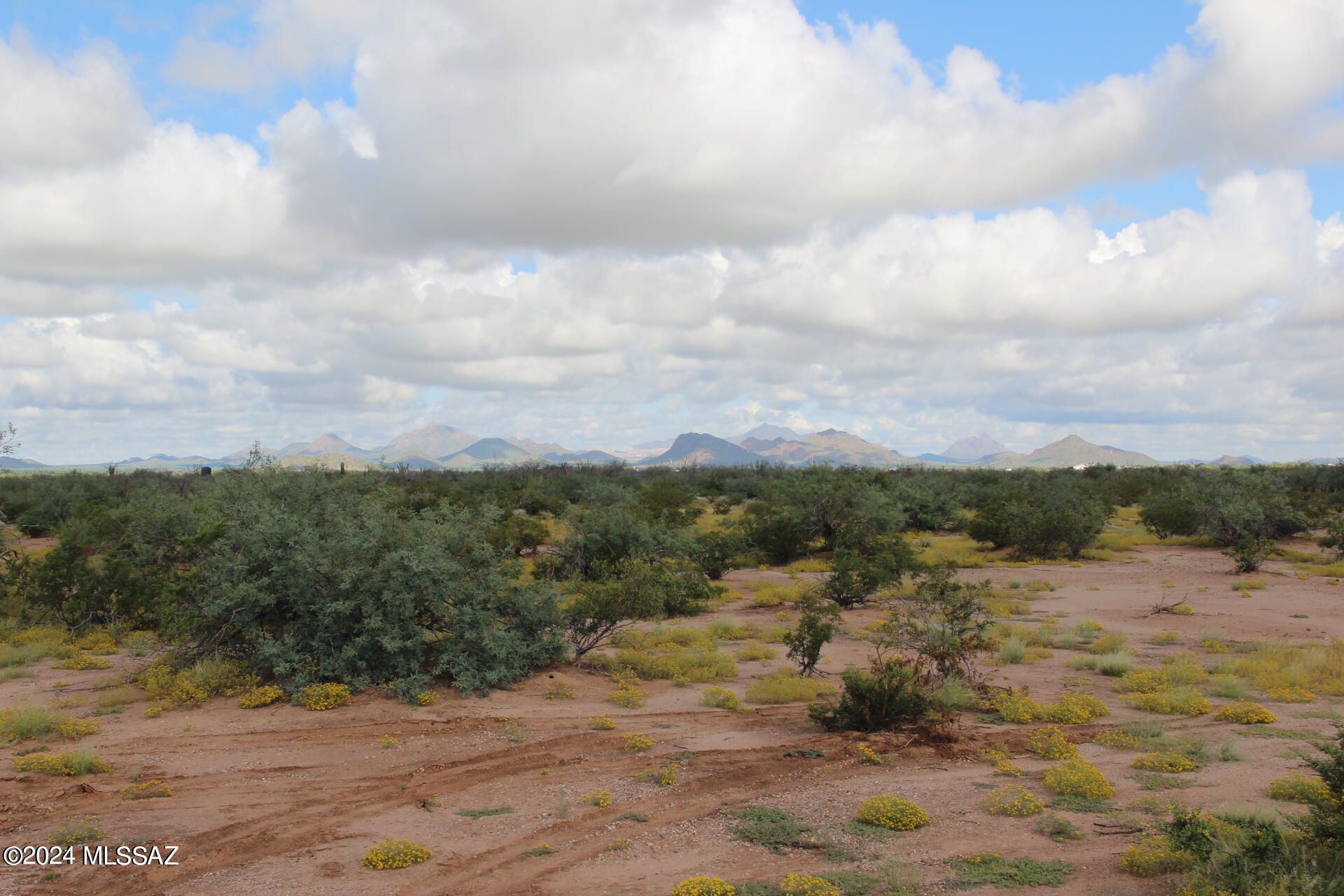 17035 W Saddle Trail 0