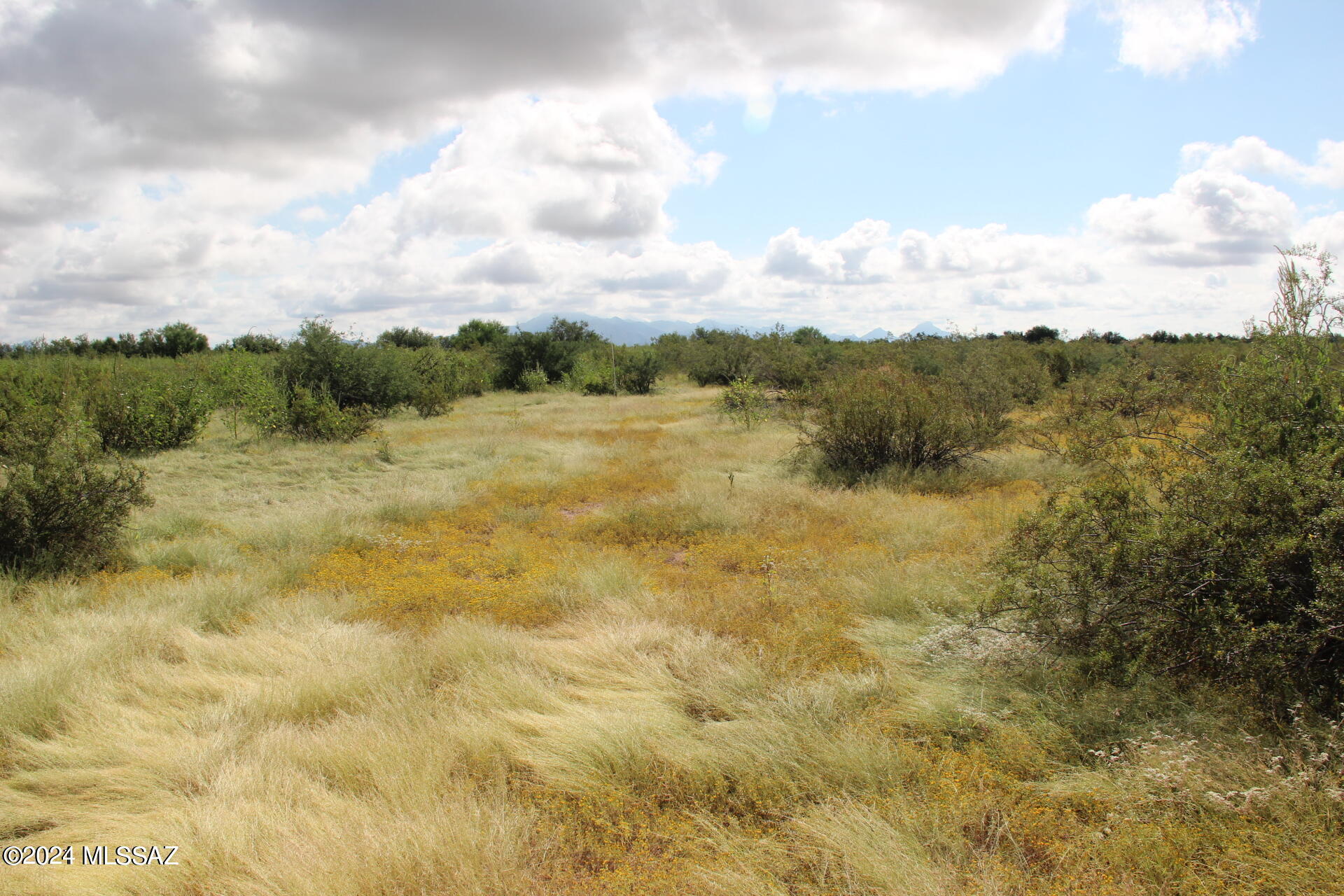 17035 W Saddle Trail 0