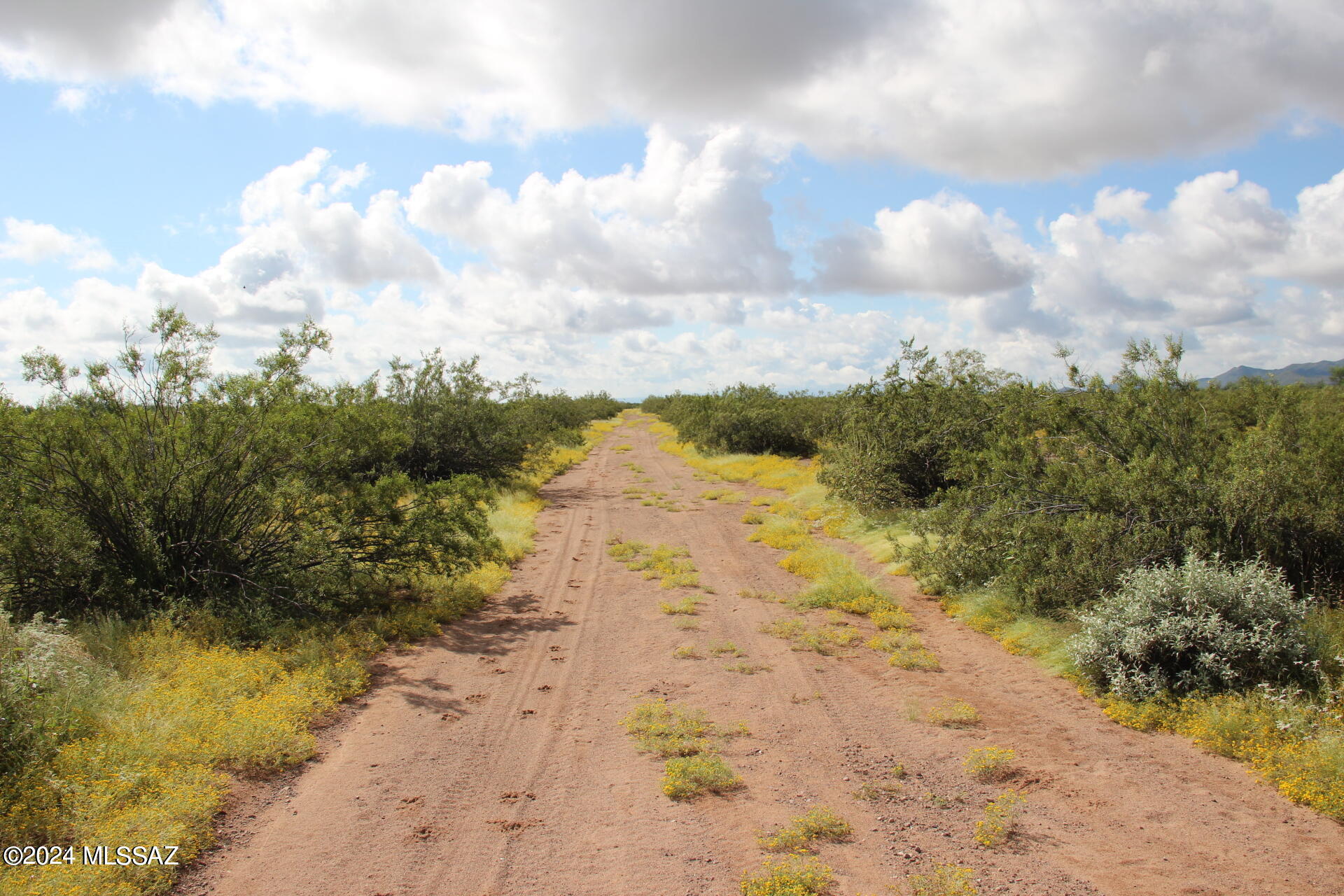 17035 W Saddle Trail 0