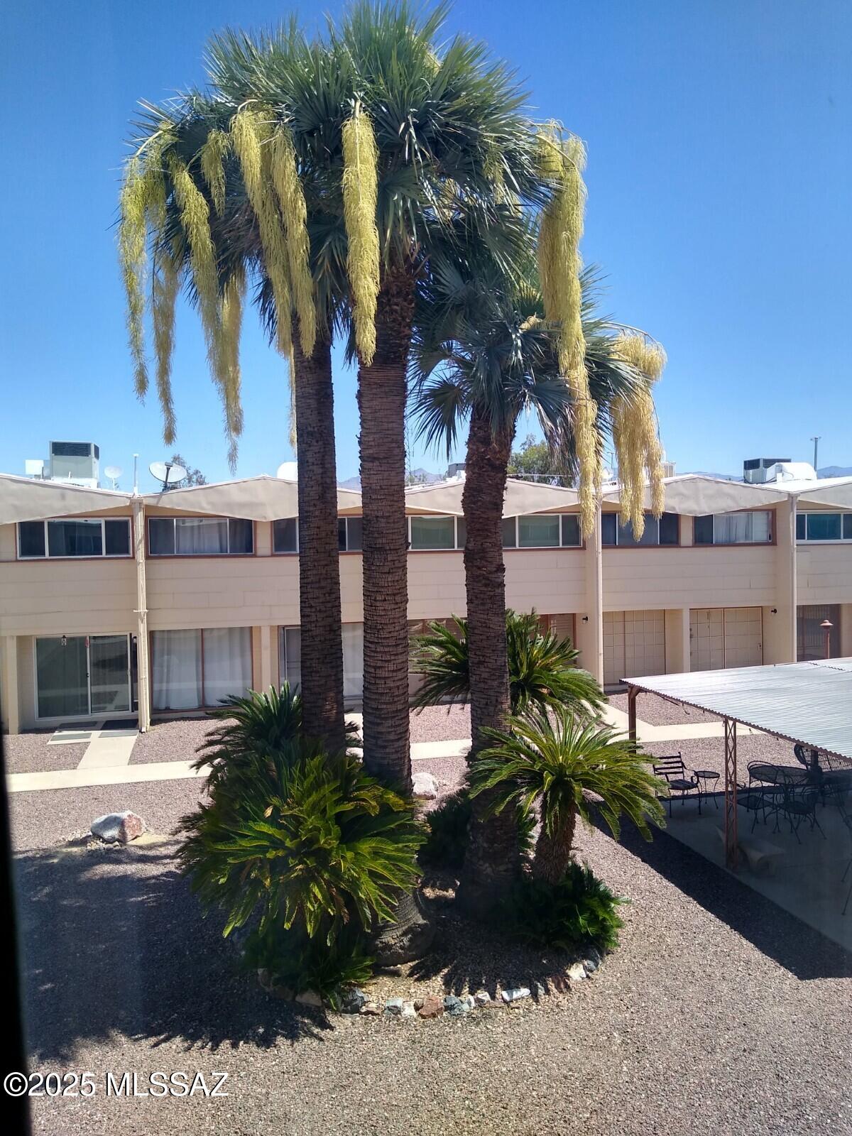 1458 S Palo Verde Avenue K202