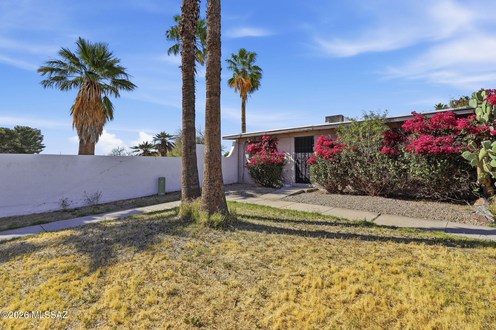 4037 S Queen Palm Drive