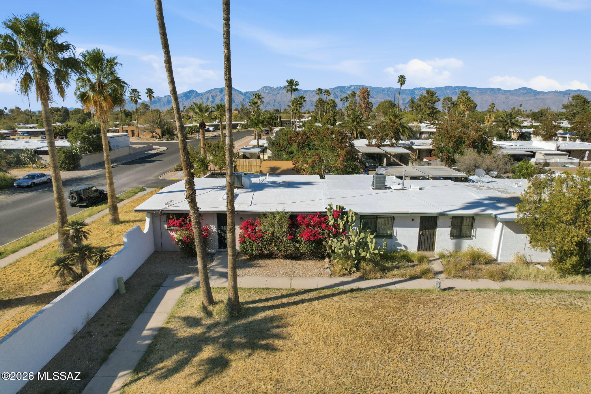 4037 S Queen Palm Drive