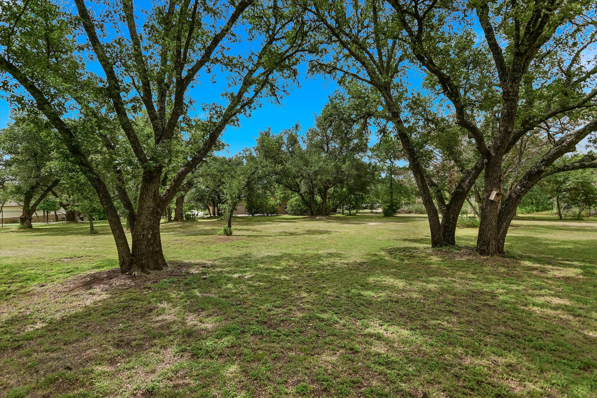 101 Paloma PL