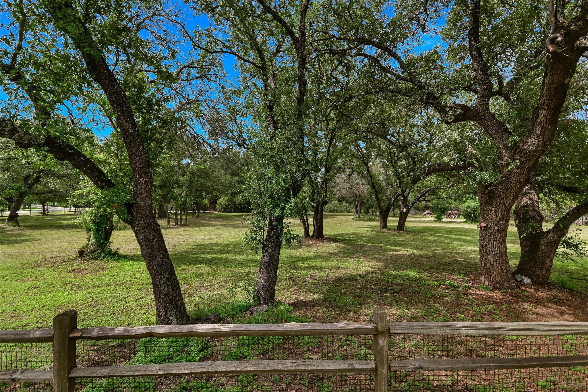 101 Paloma PL