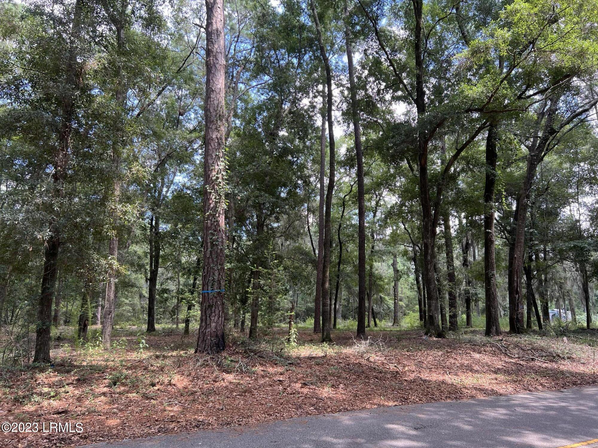 37 Fiddler Drive