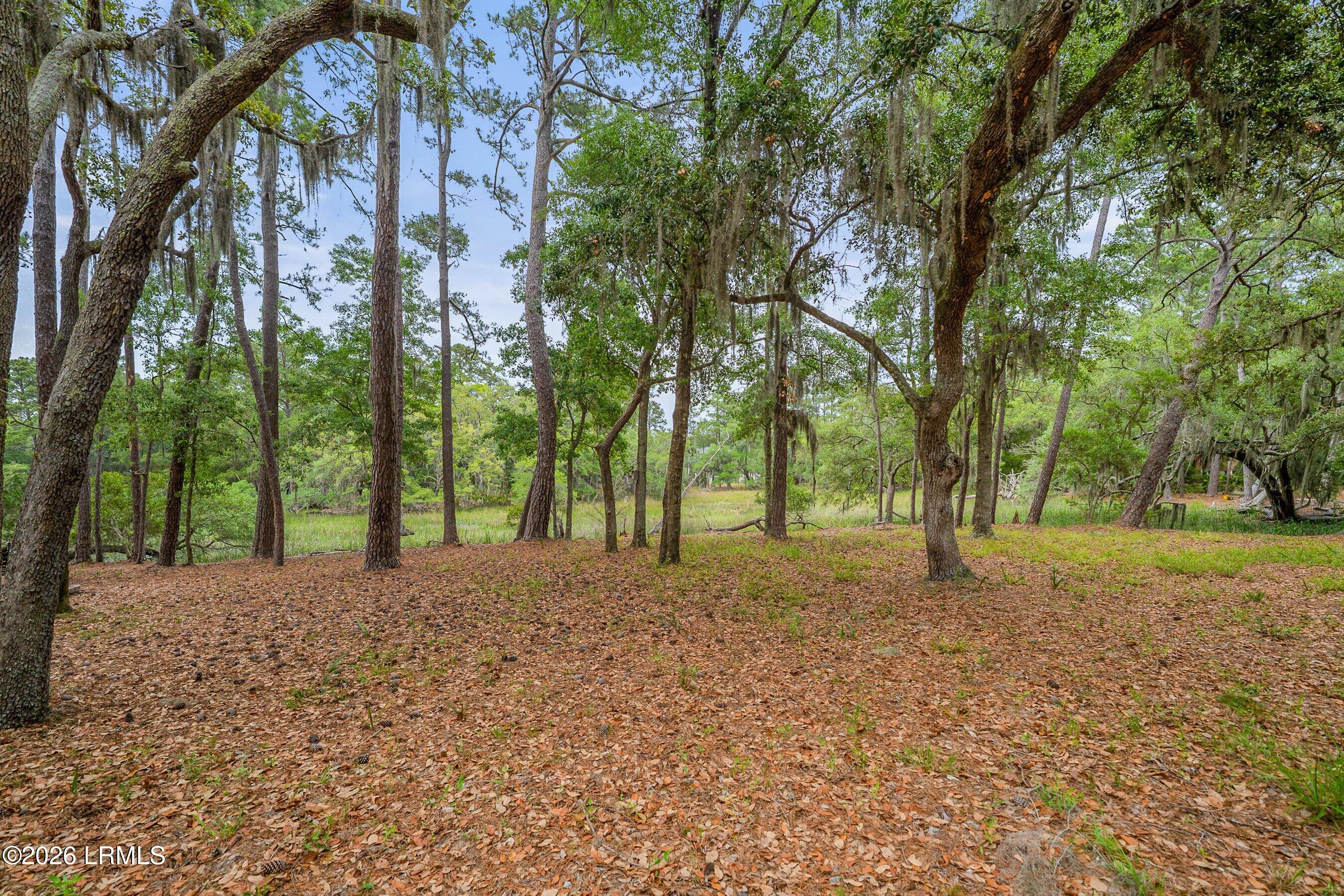 6 Cordgrass Loop