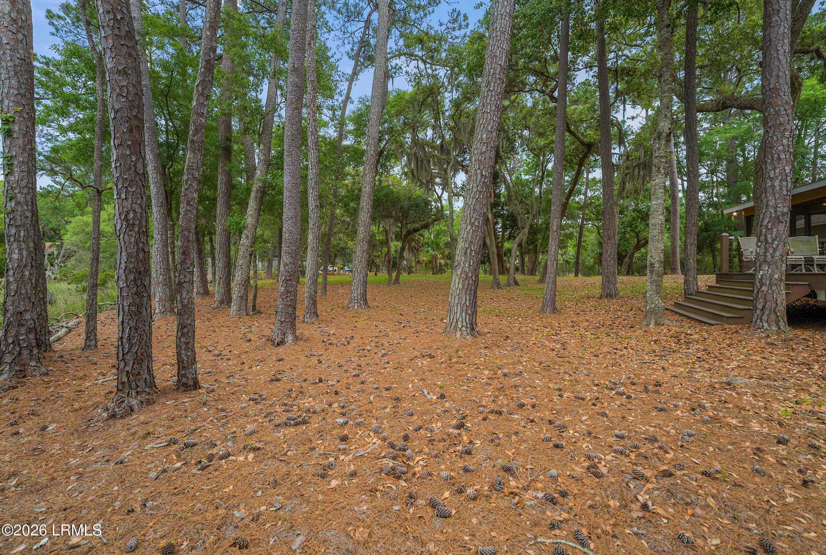 6 Cordgrass Loop