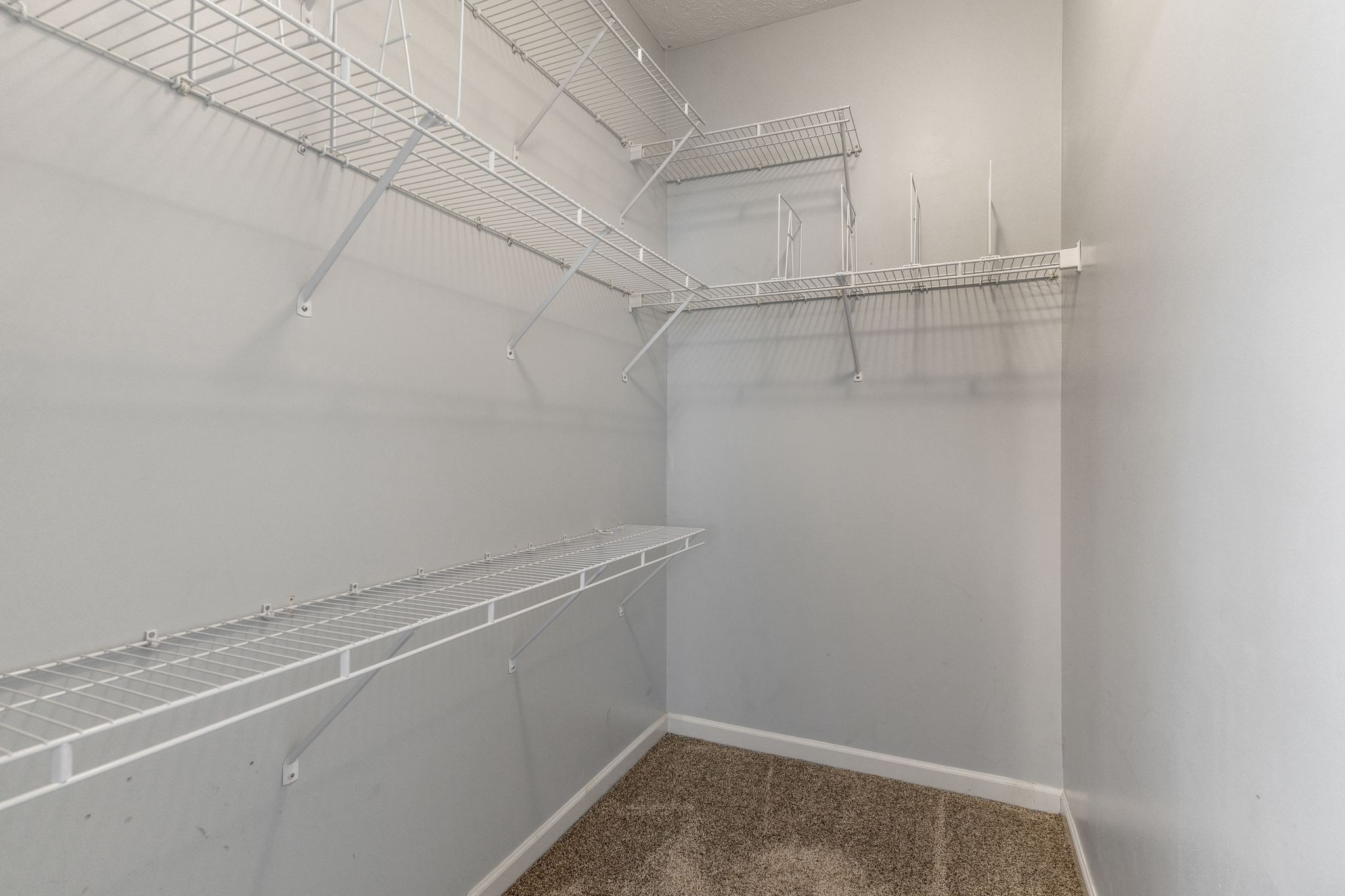 1007 Whitley Pl