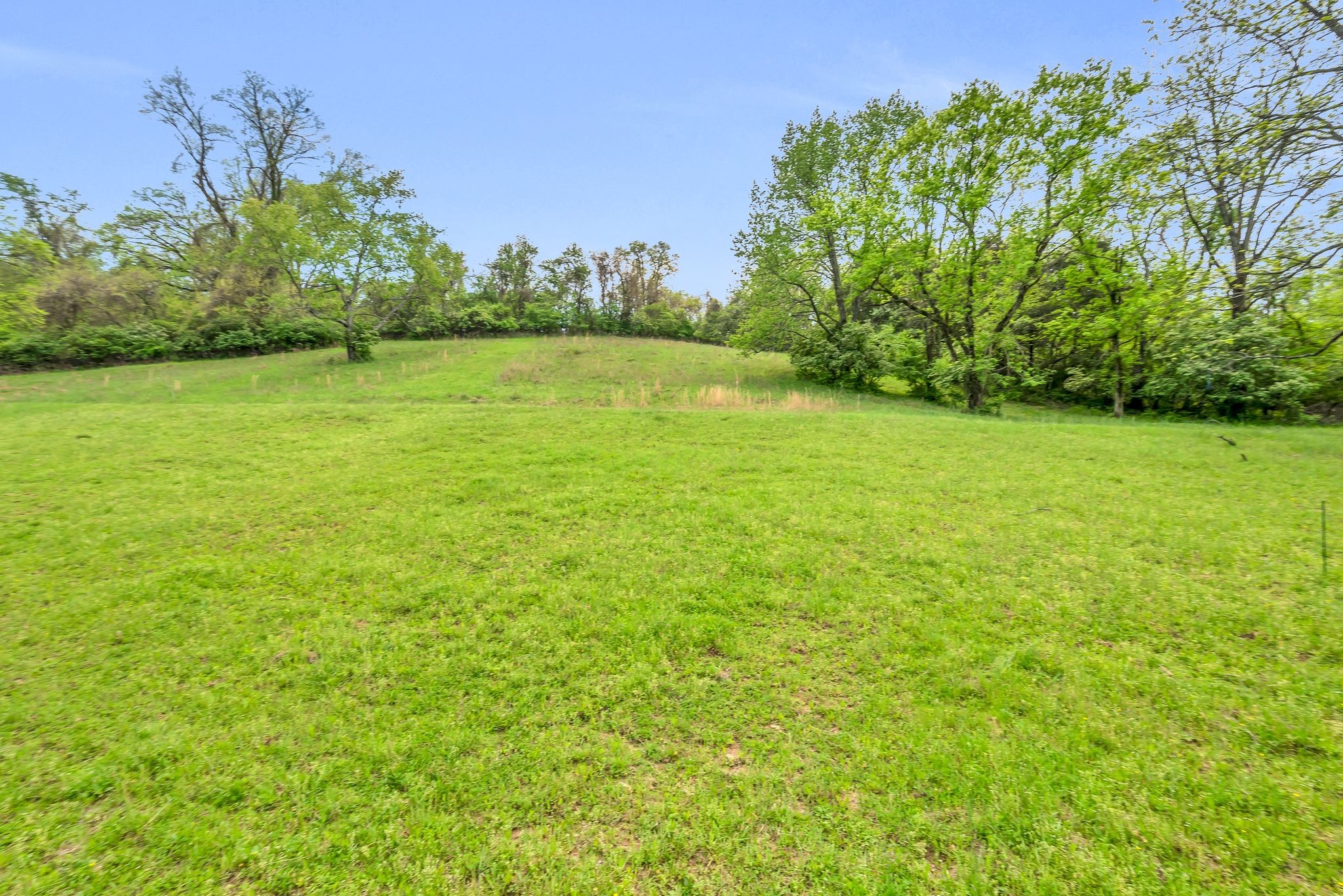 3163 Brandau Rd