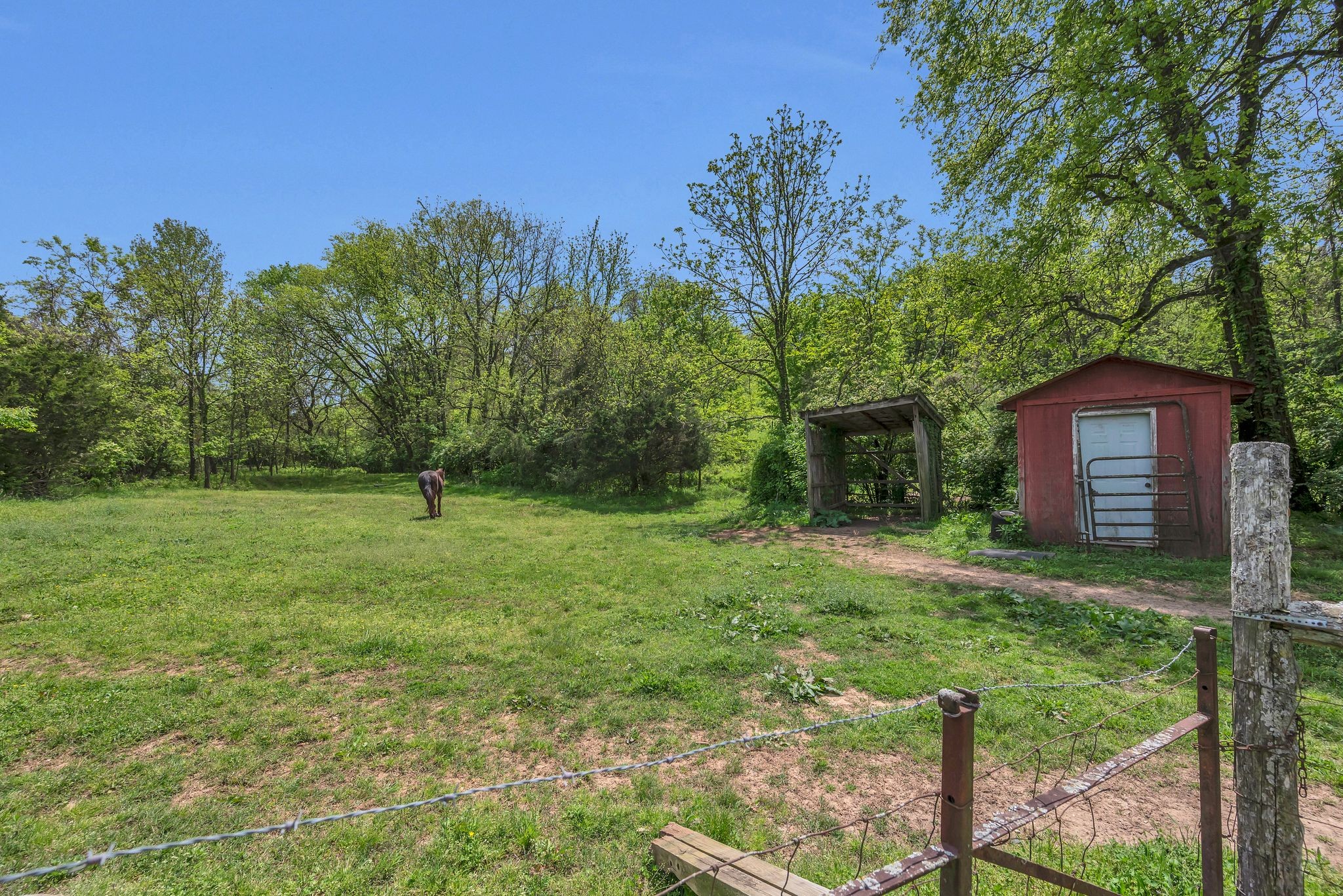 3163 Brandau Rd