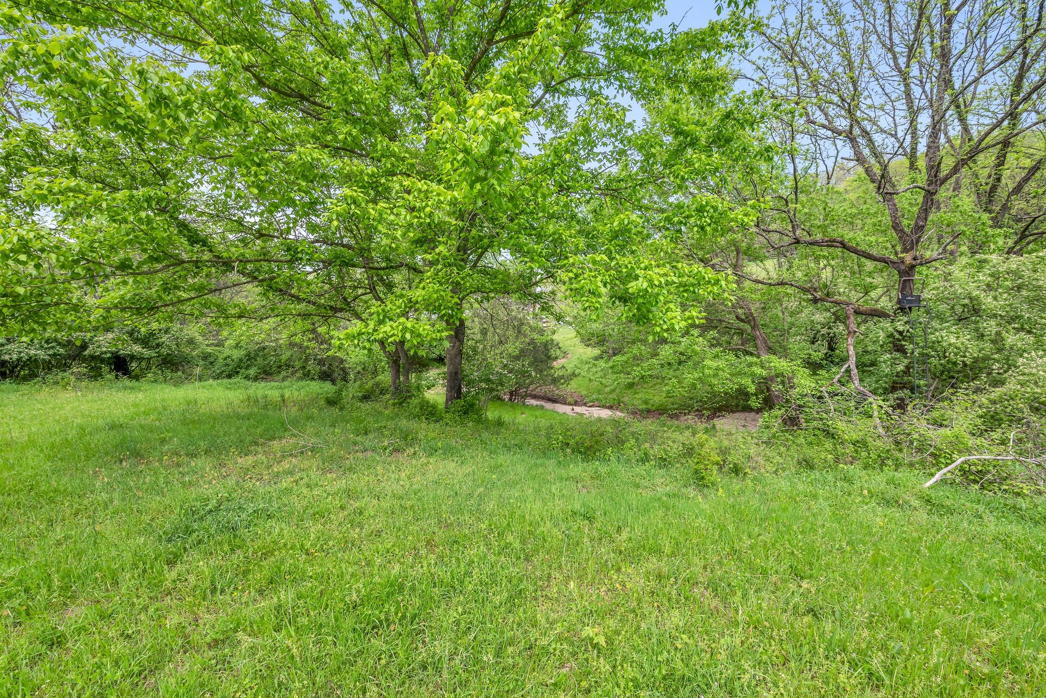 3163 Brandau Rd