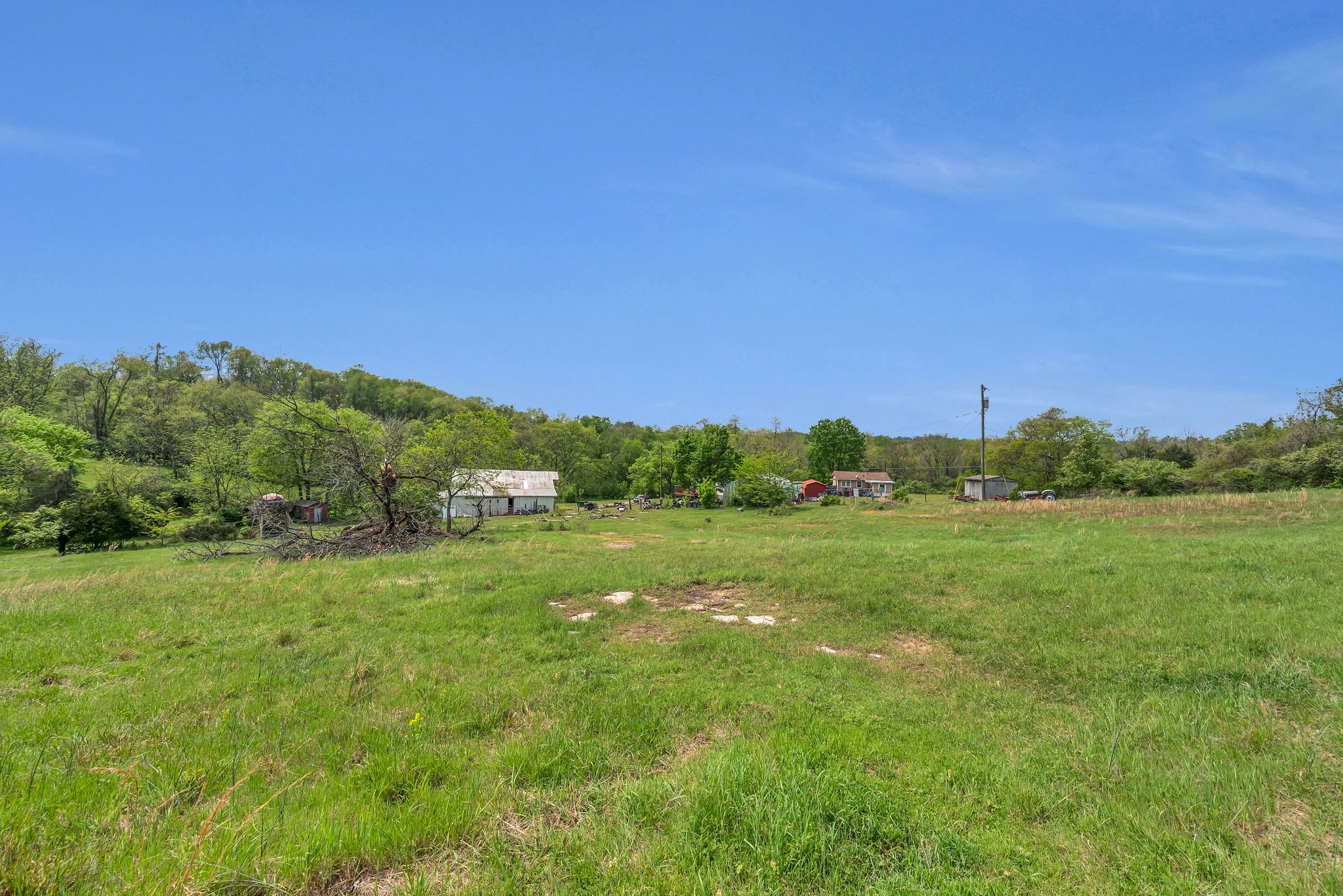 3163 Brandau Rd