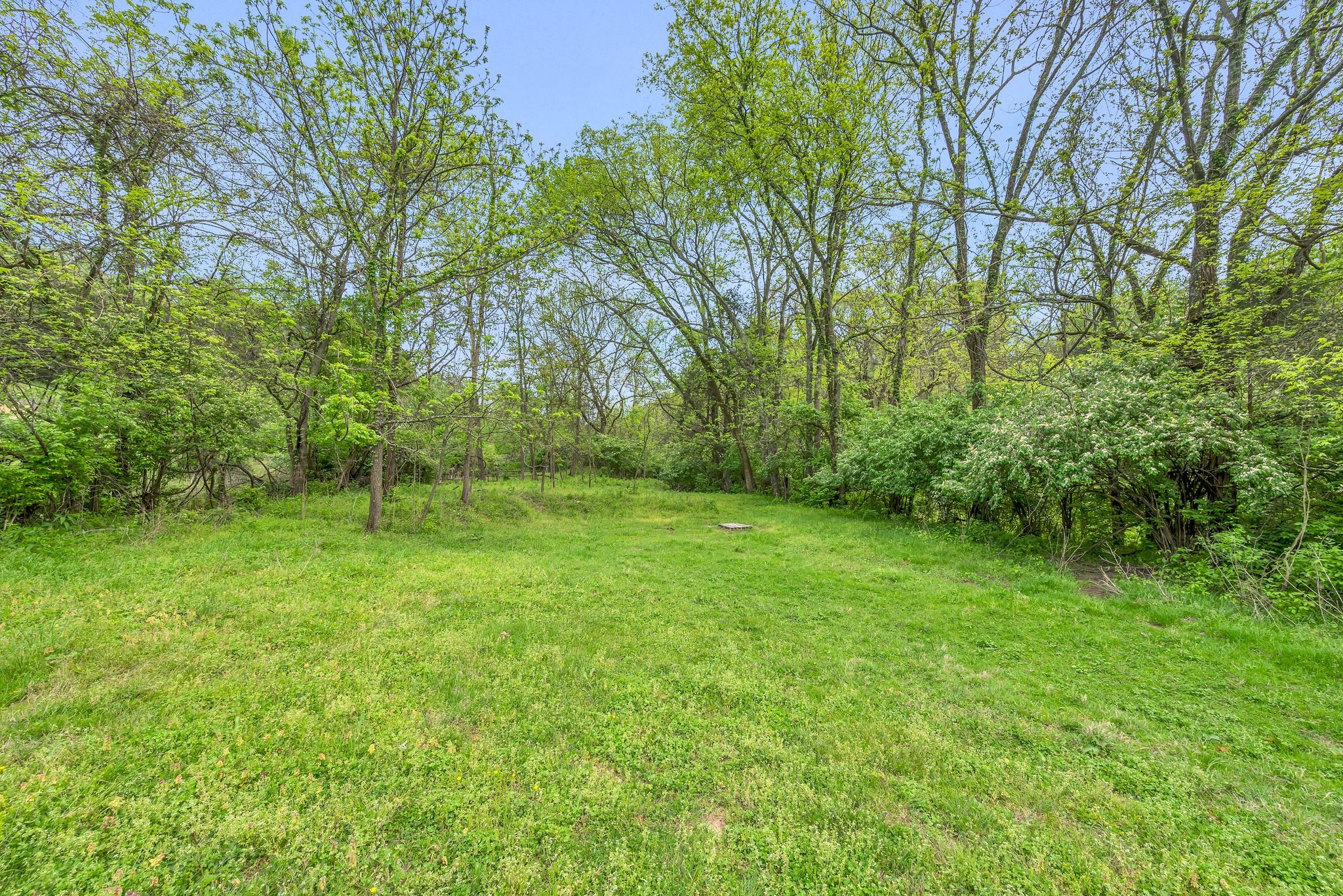 3163 Brandau Rd