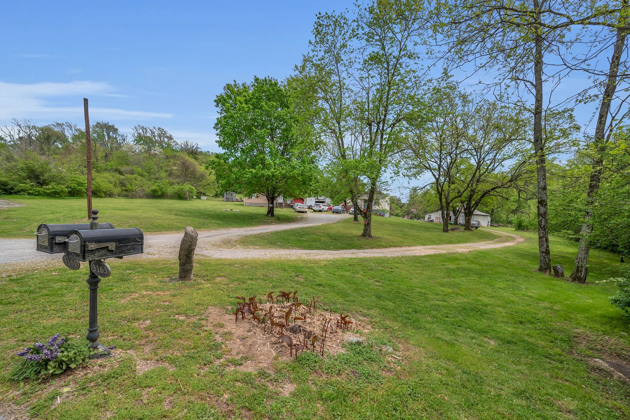 3163 Brandau Rd