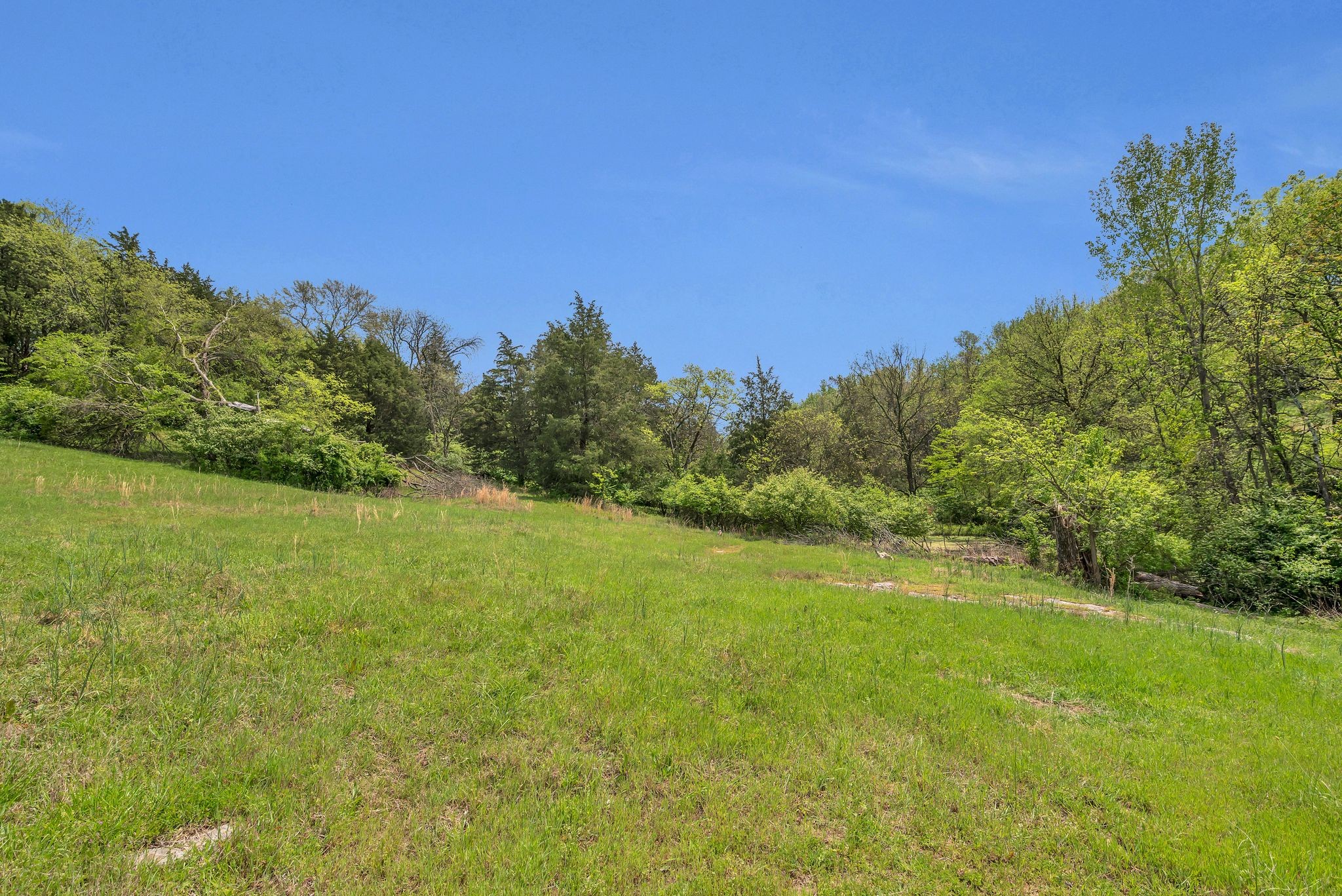3163 Brandau Rd