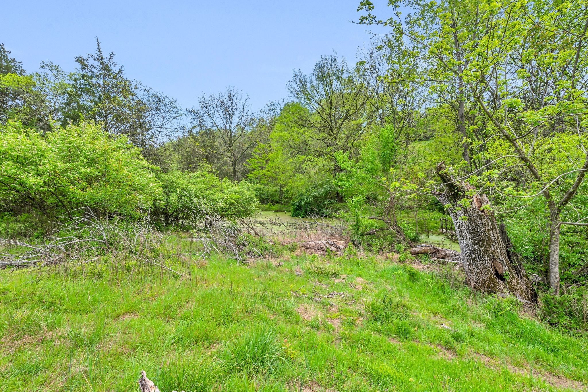 3163 Brandau Rd