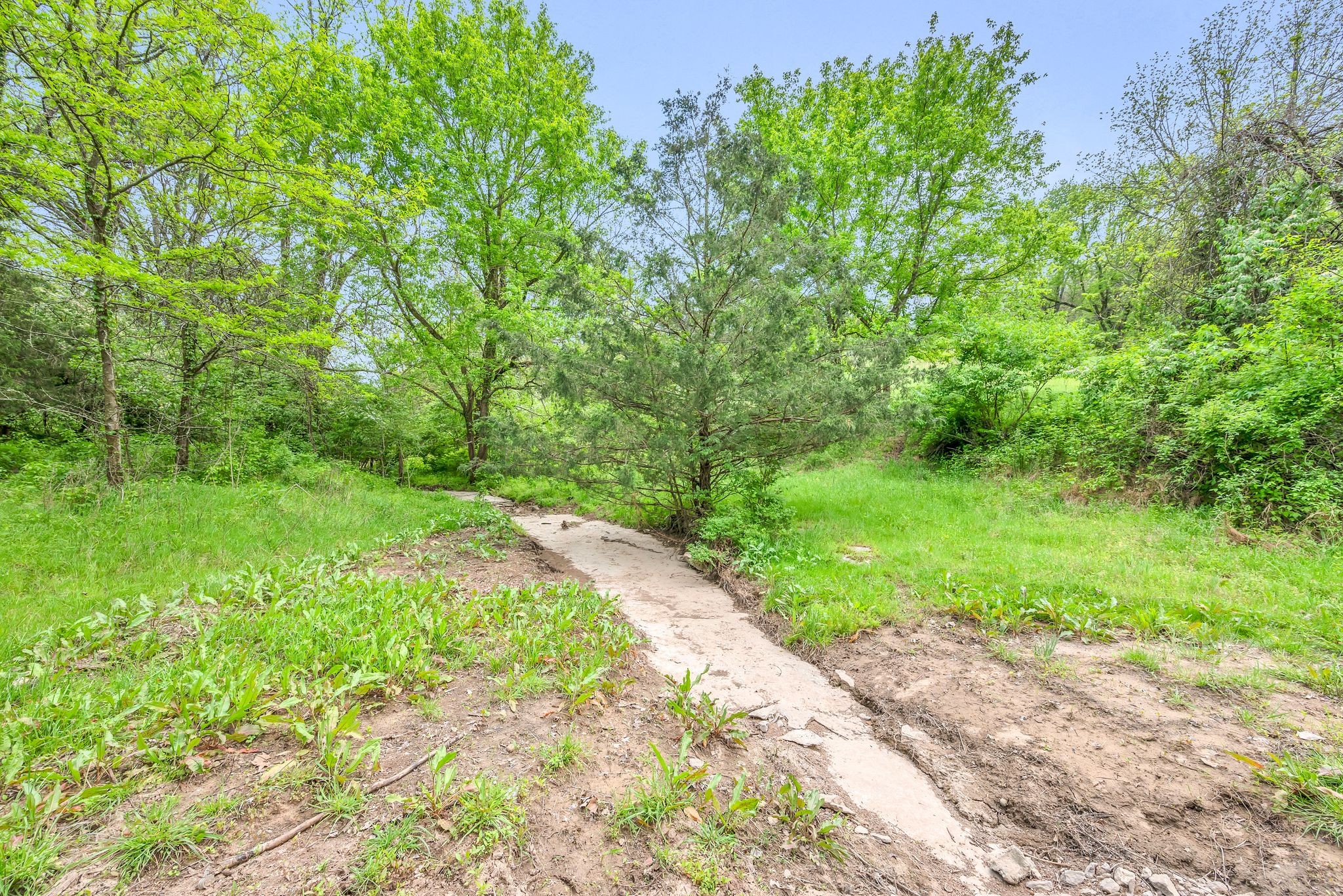 3163 Brandau Rd