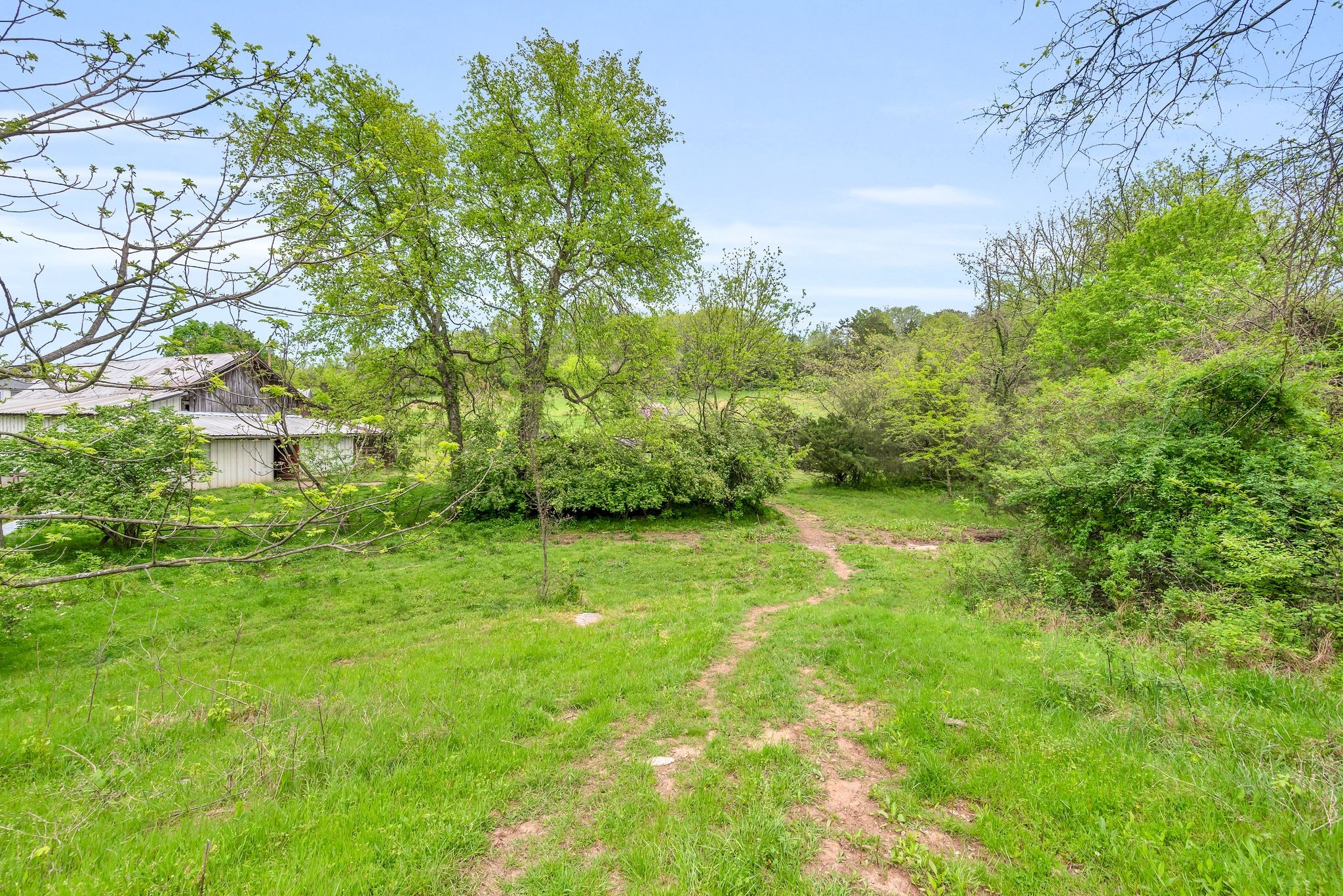 3163 Brandau Rd