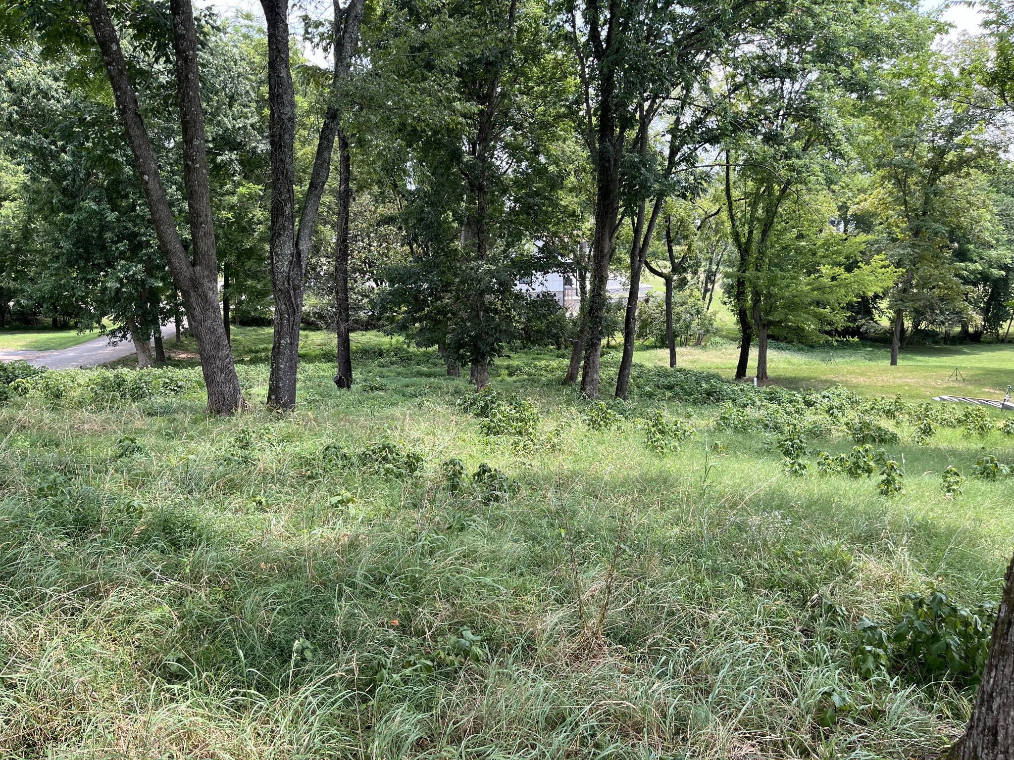 100 Sterling Rd
