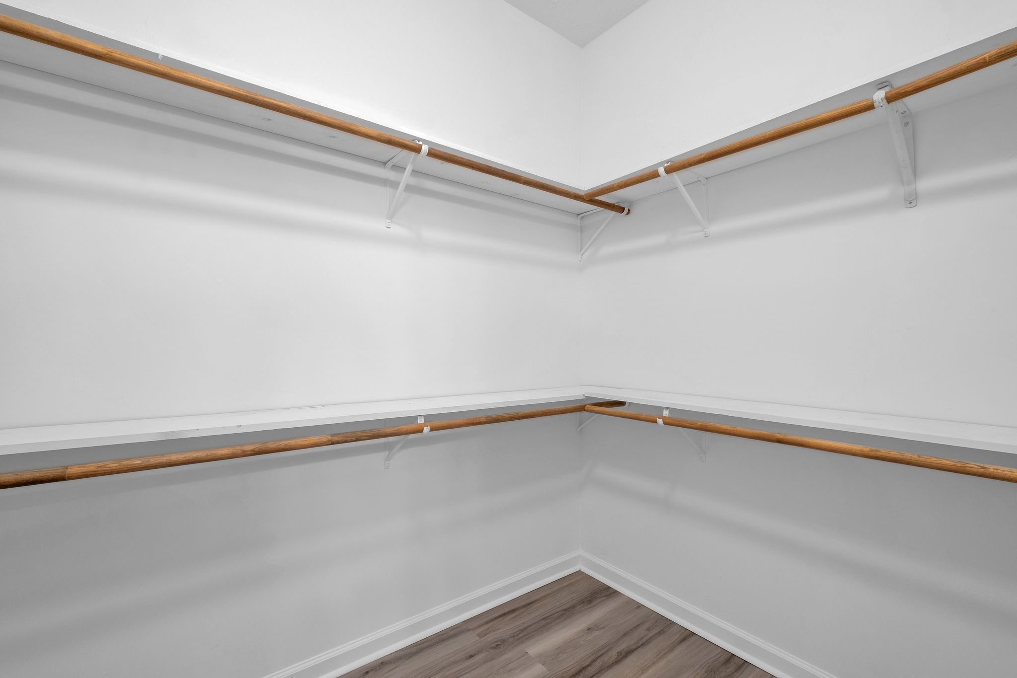 210 Hollow Tree Cir